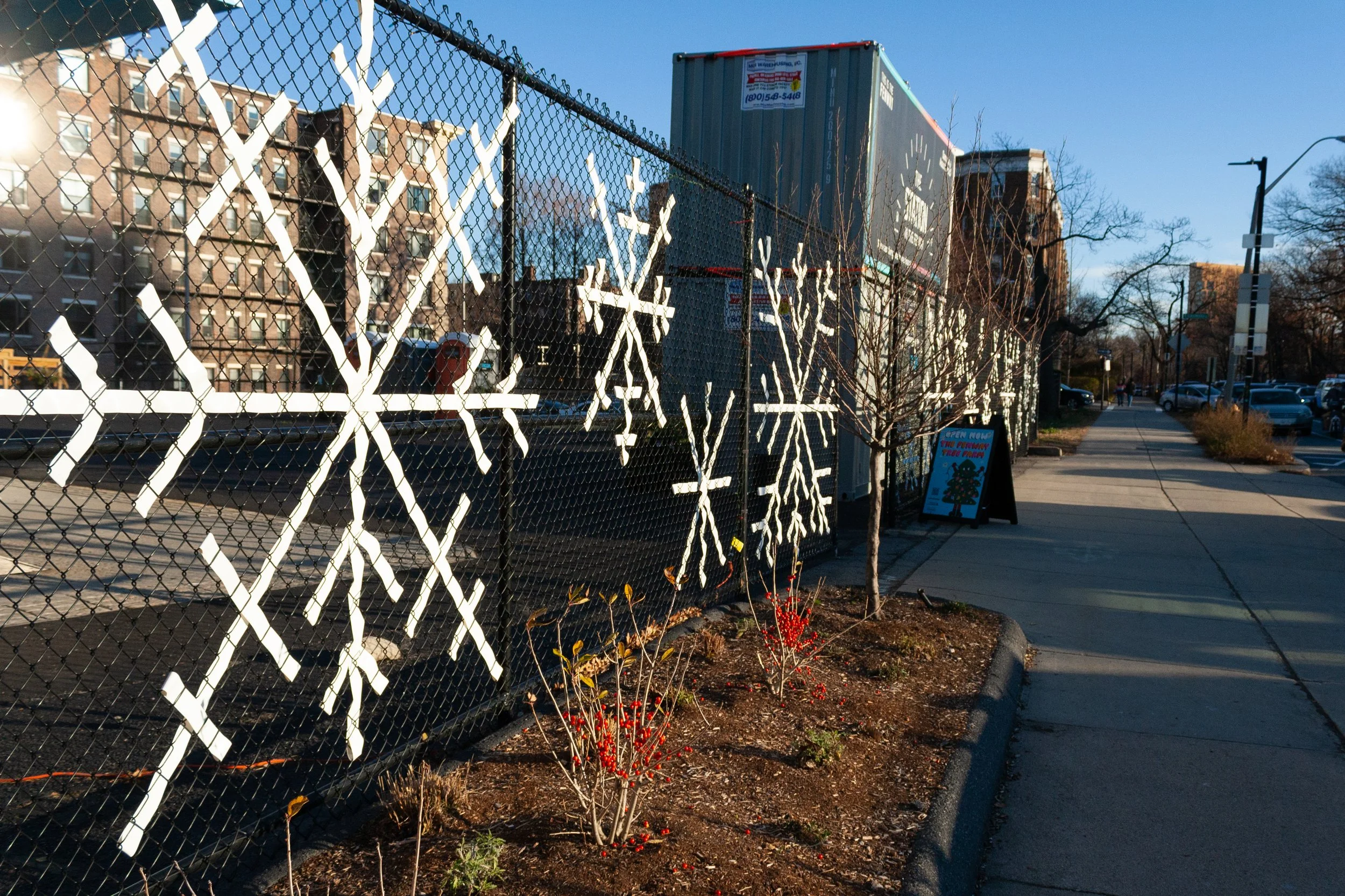The Fenway Tree Farm