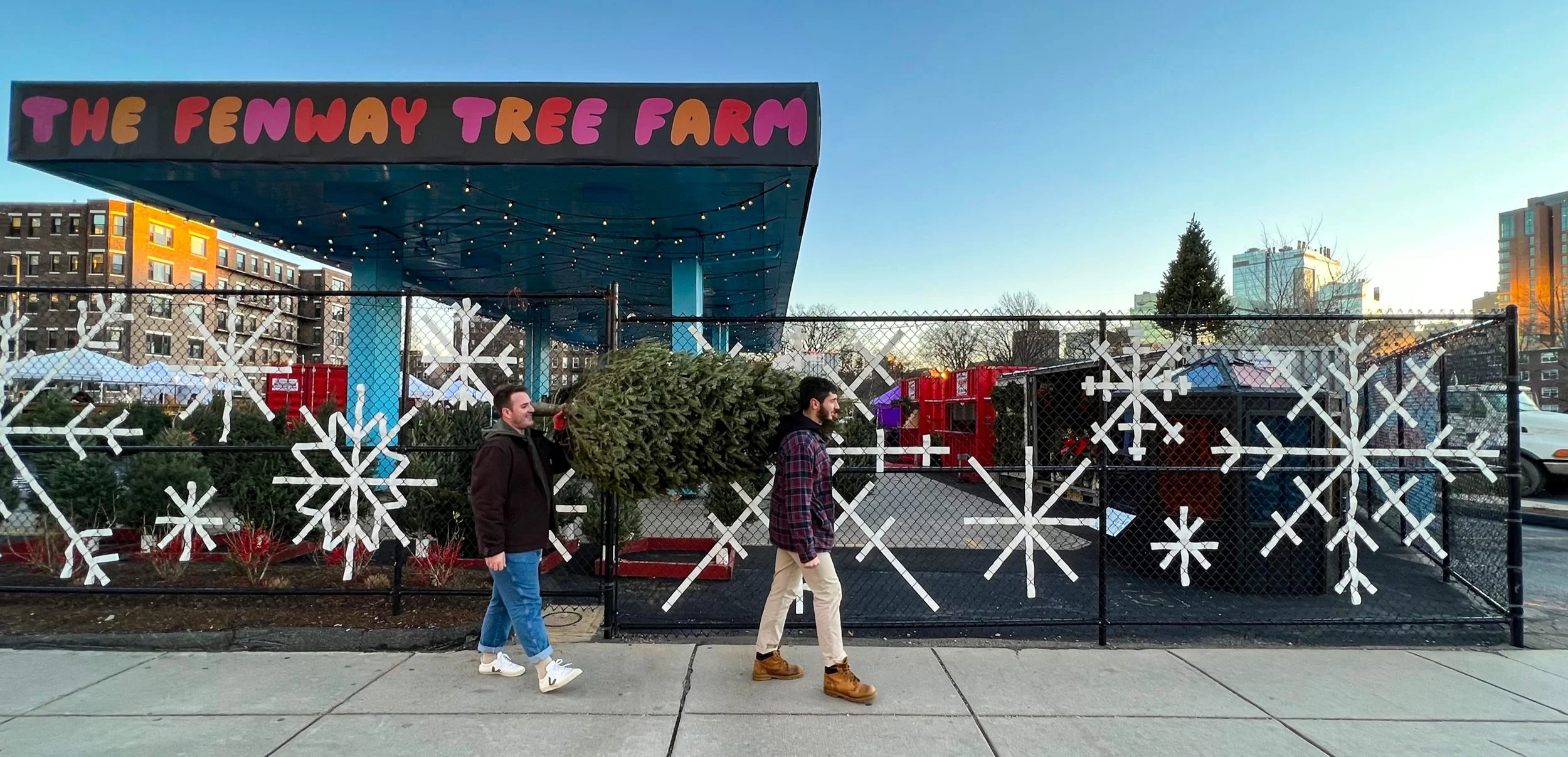 The Fenway Tree Farm