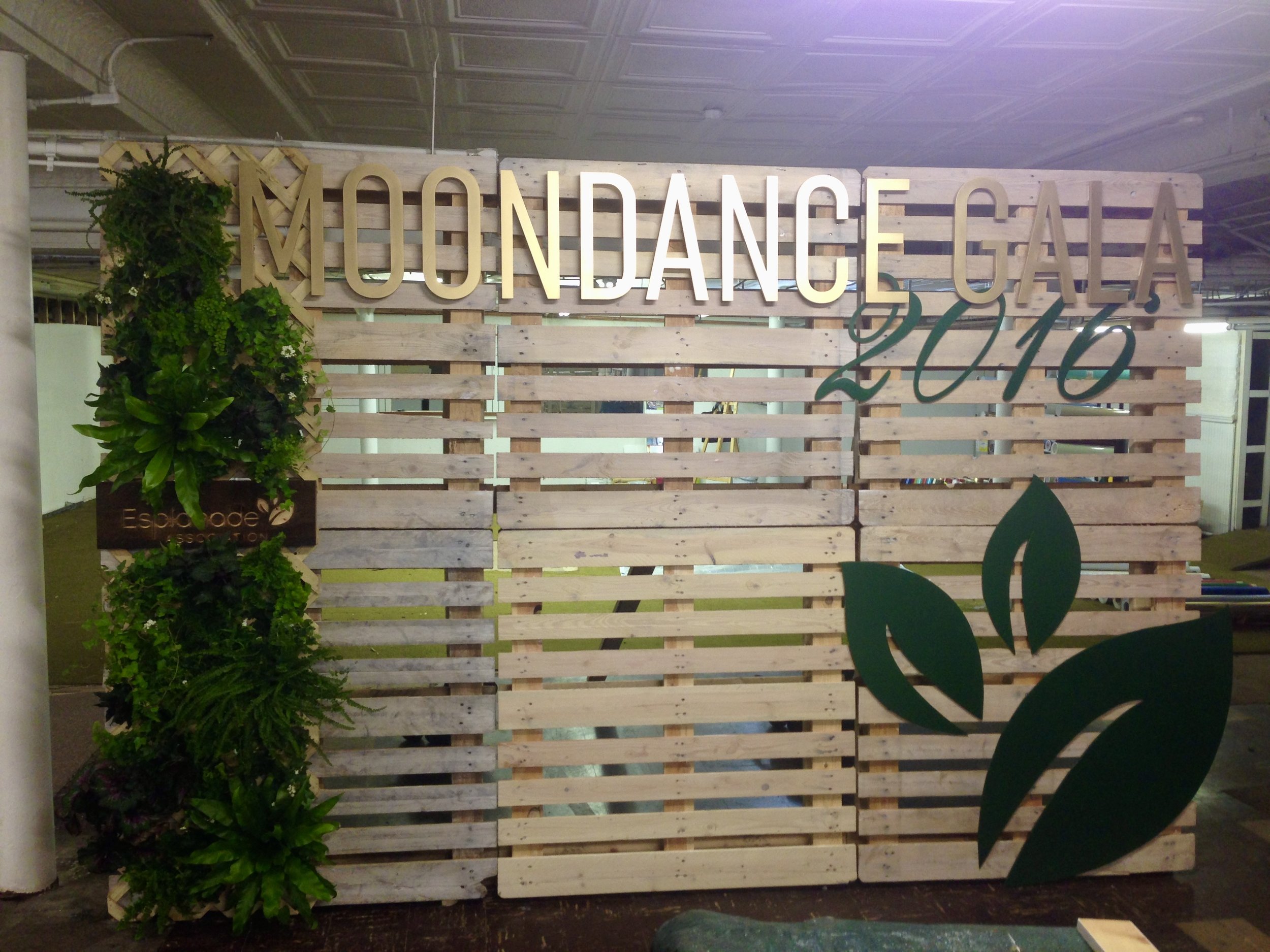 Moondance Gala Backdrop