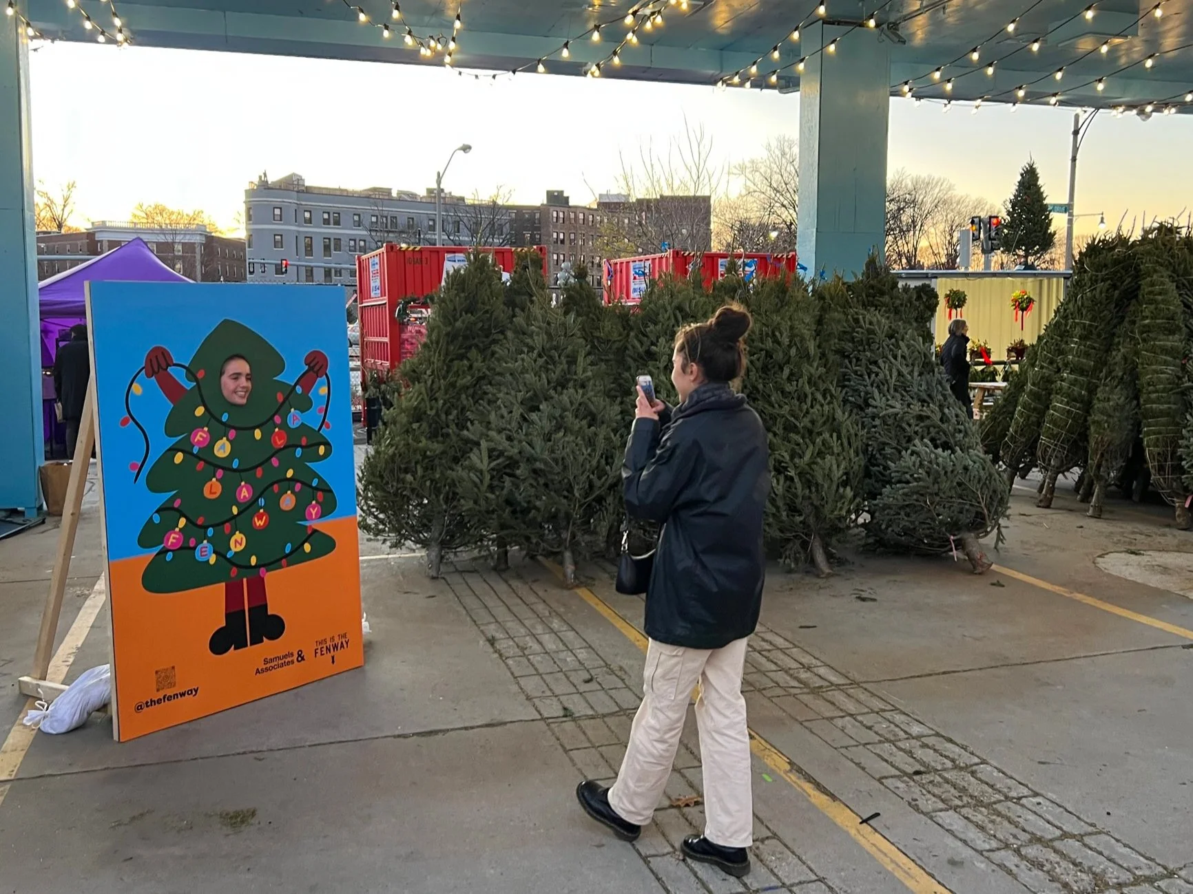 The Fenway Tree Farm