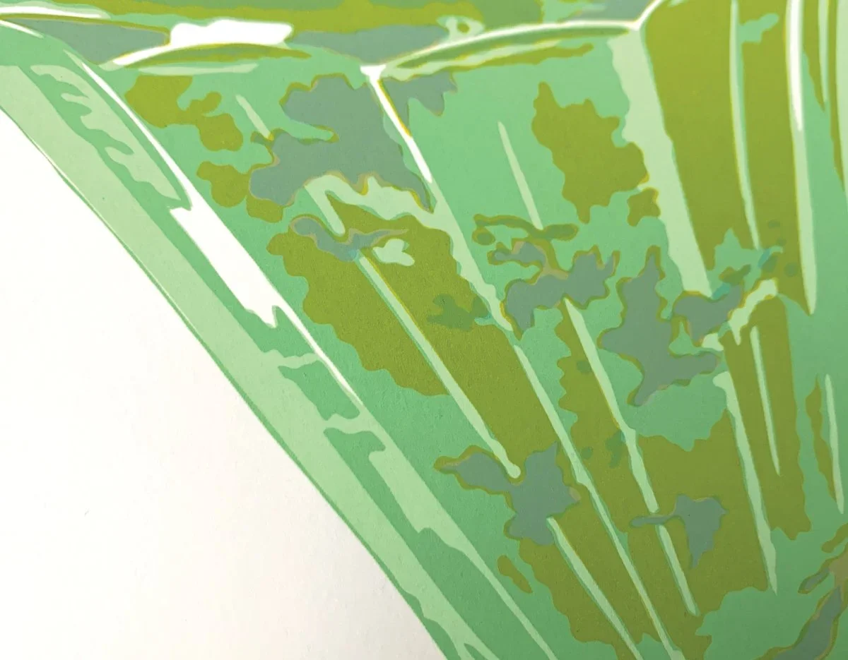 Pistachio-Detail1.webp