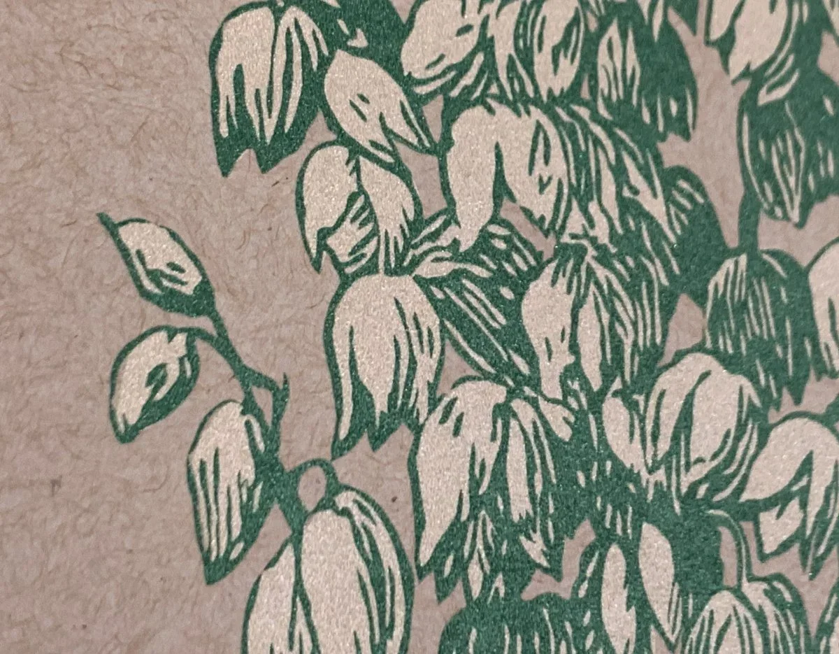Yucca-Print-Detail1.webp