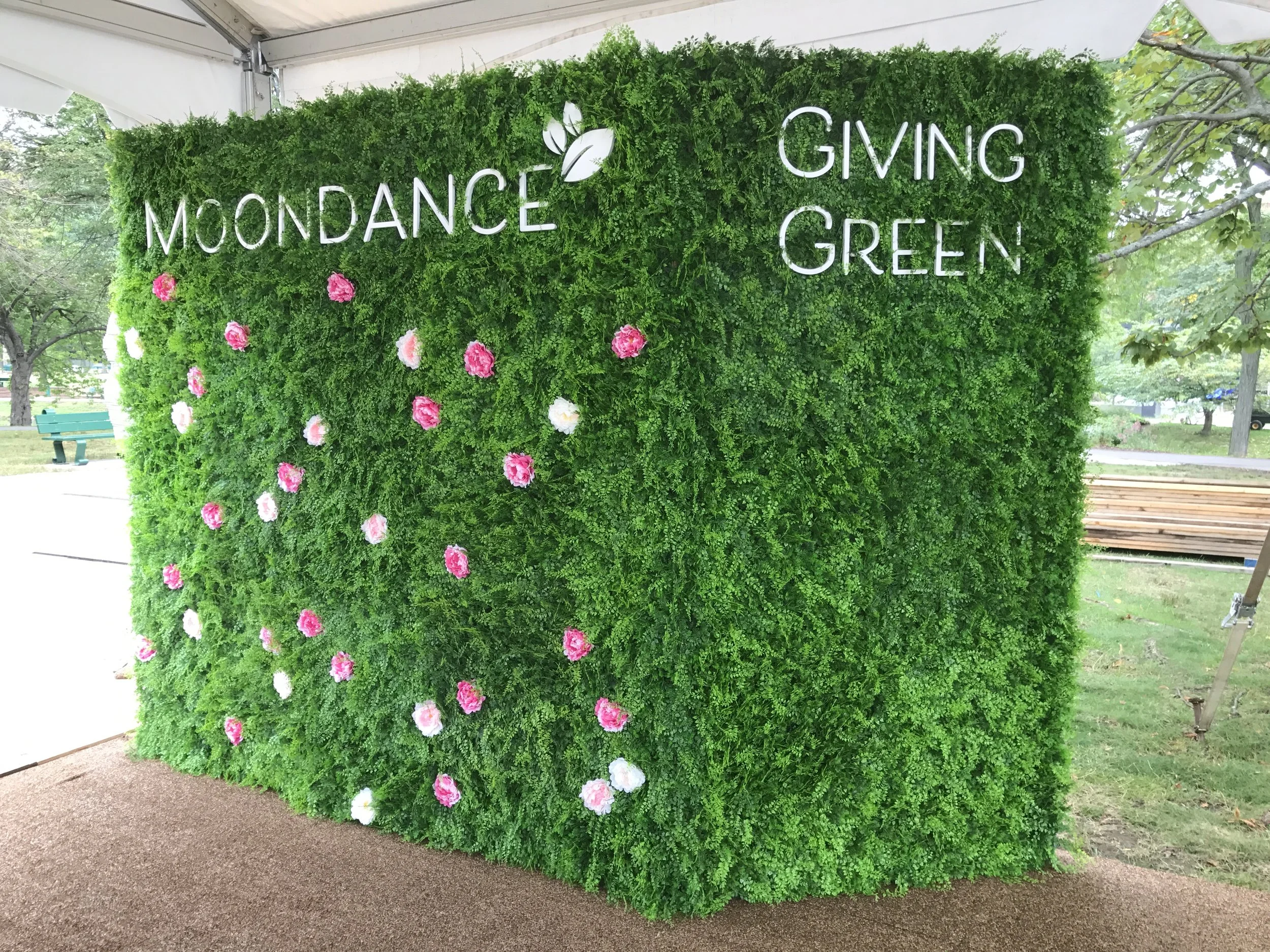 Moondance Gala Backdrop