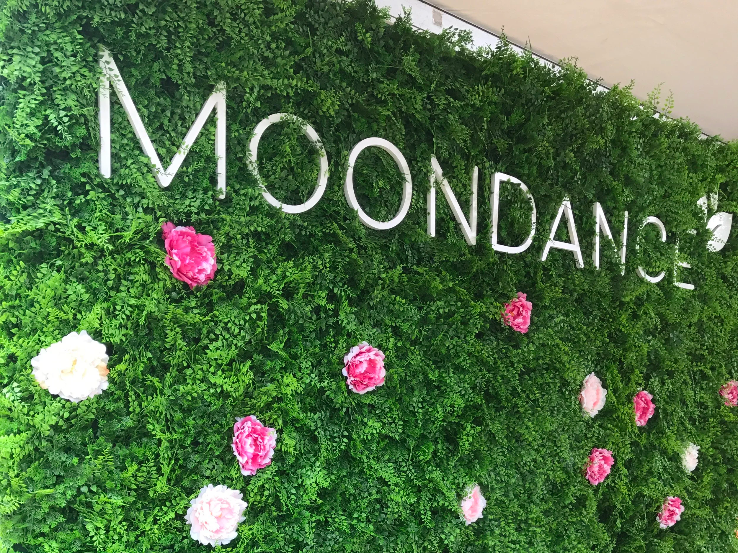 Moondance Gala Backdrop