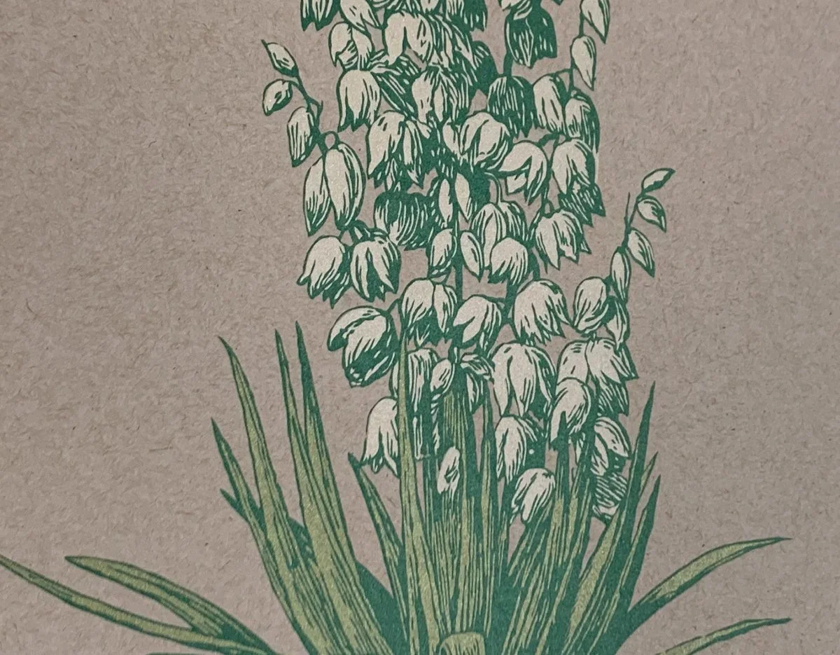 Yucca-Print-Detail4.webp