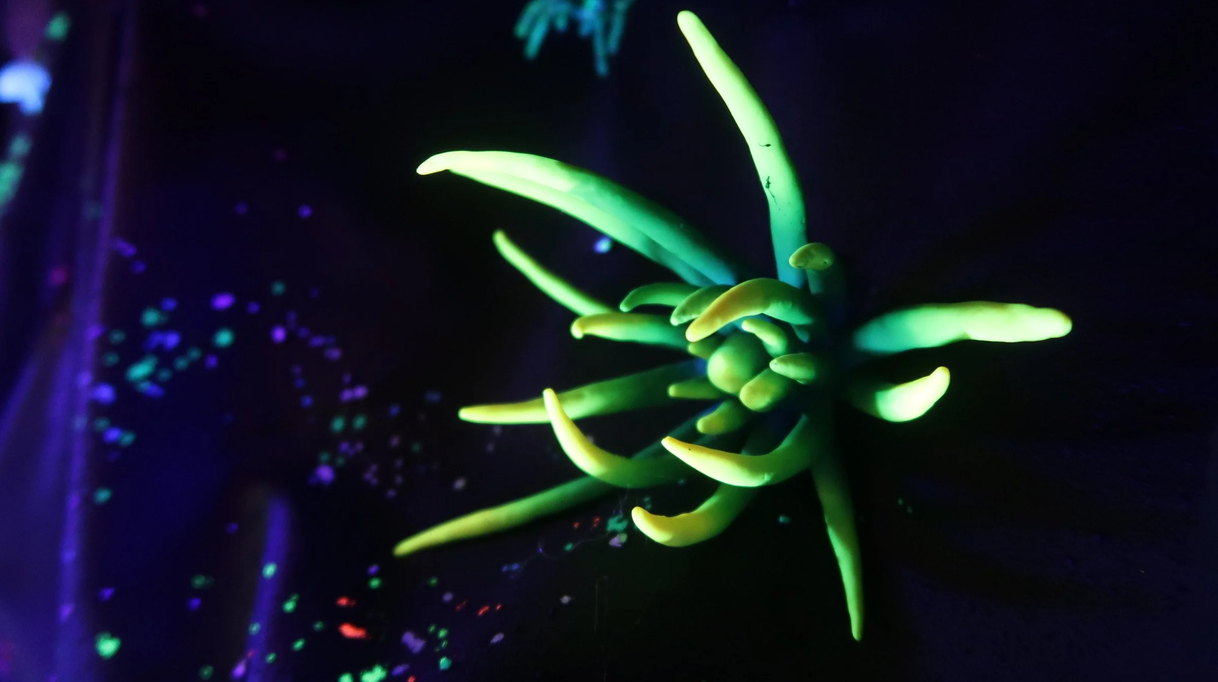 Neon Dream Crystal Cave