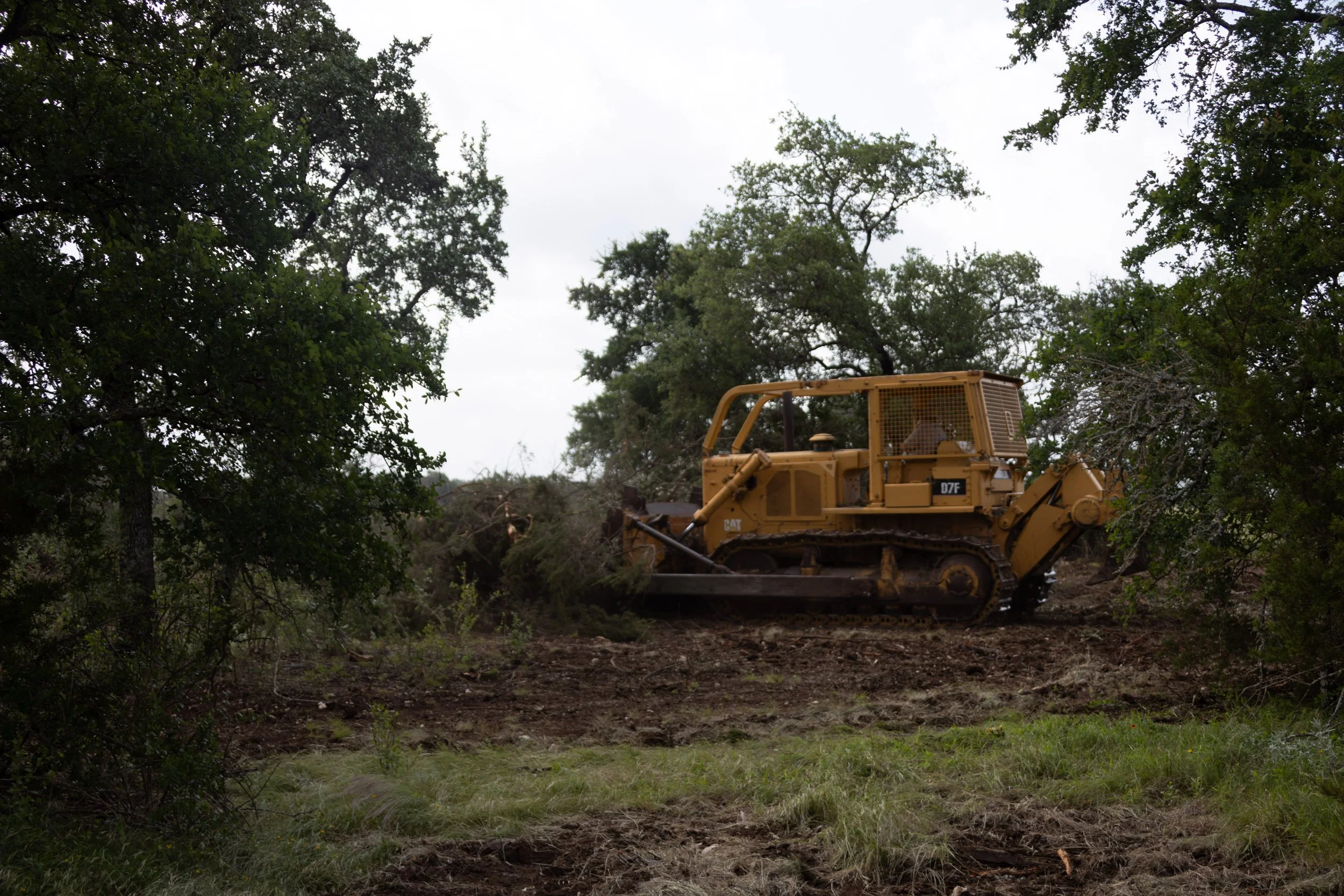 Pasture cleared of brush by Koether Dozing
