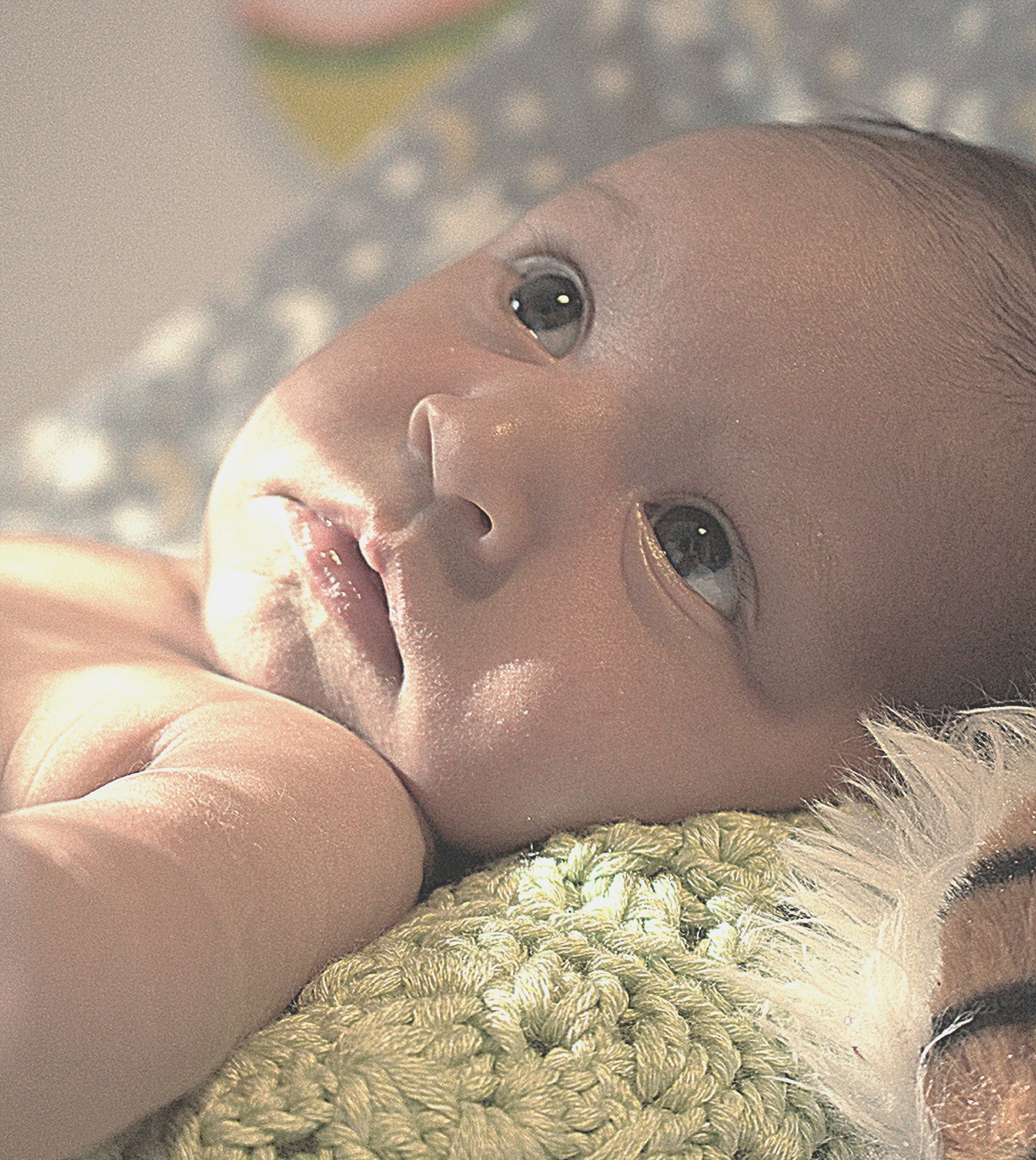 Newborn Photoshoot - 1 hour session