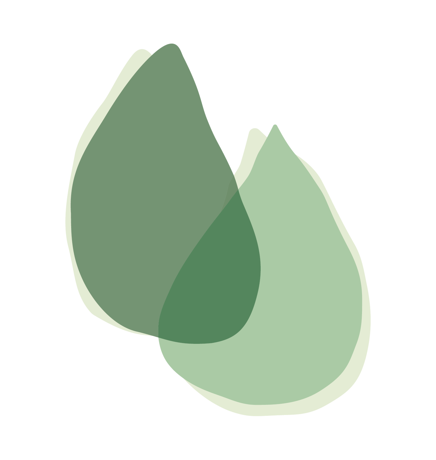 Fergus Naturopathic Clinic