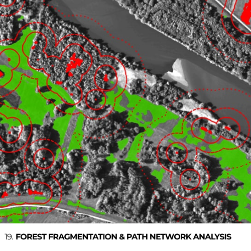 19. Forest Fragmentation & Path Network Analysis