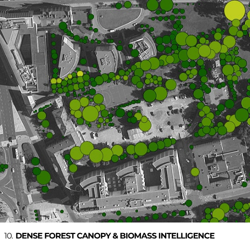 10. Dense Forest Canopy & Biomass Intelligence