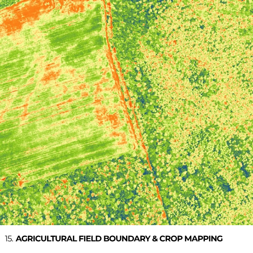 15. Agricultural Field Boundary & Crop Mapping
