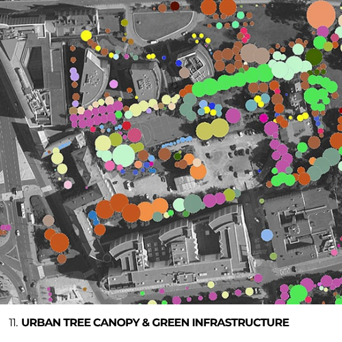 11. Urban Tree Canopy & Green Infrastructure