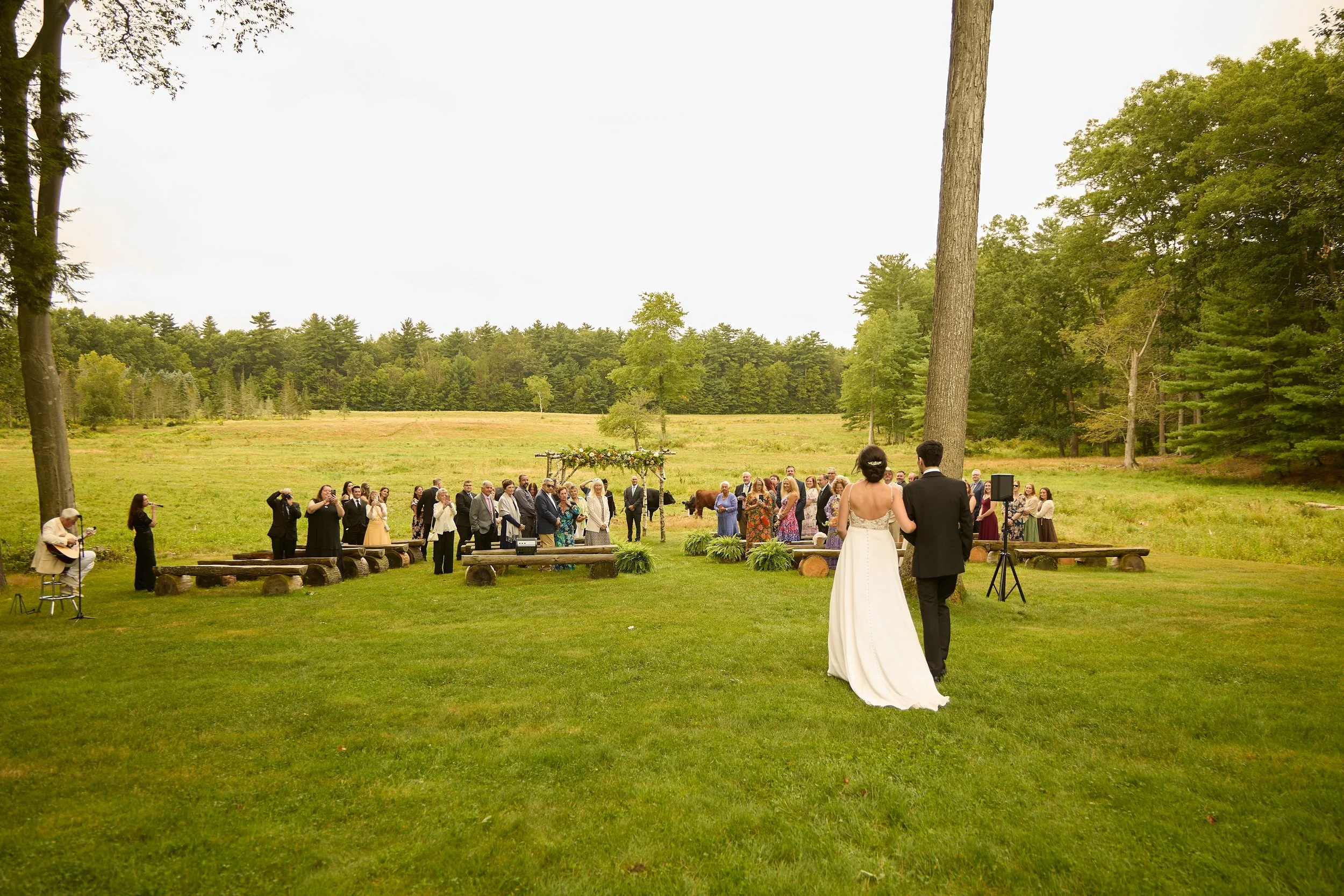 A wedding ceremony taking place outdoors in a lush green forest clearing with the bride and groom standing in front of a floral arch, surrounded by guests and musicians.
