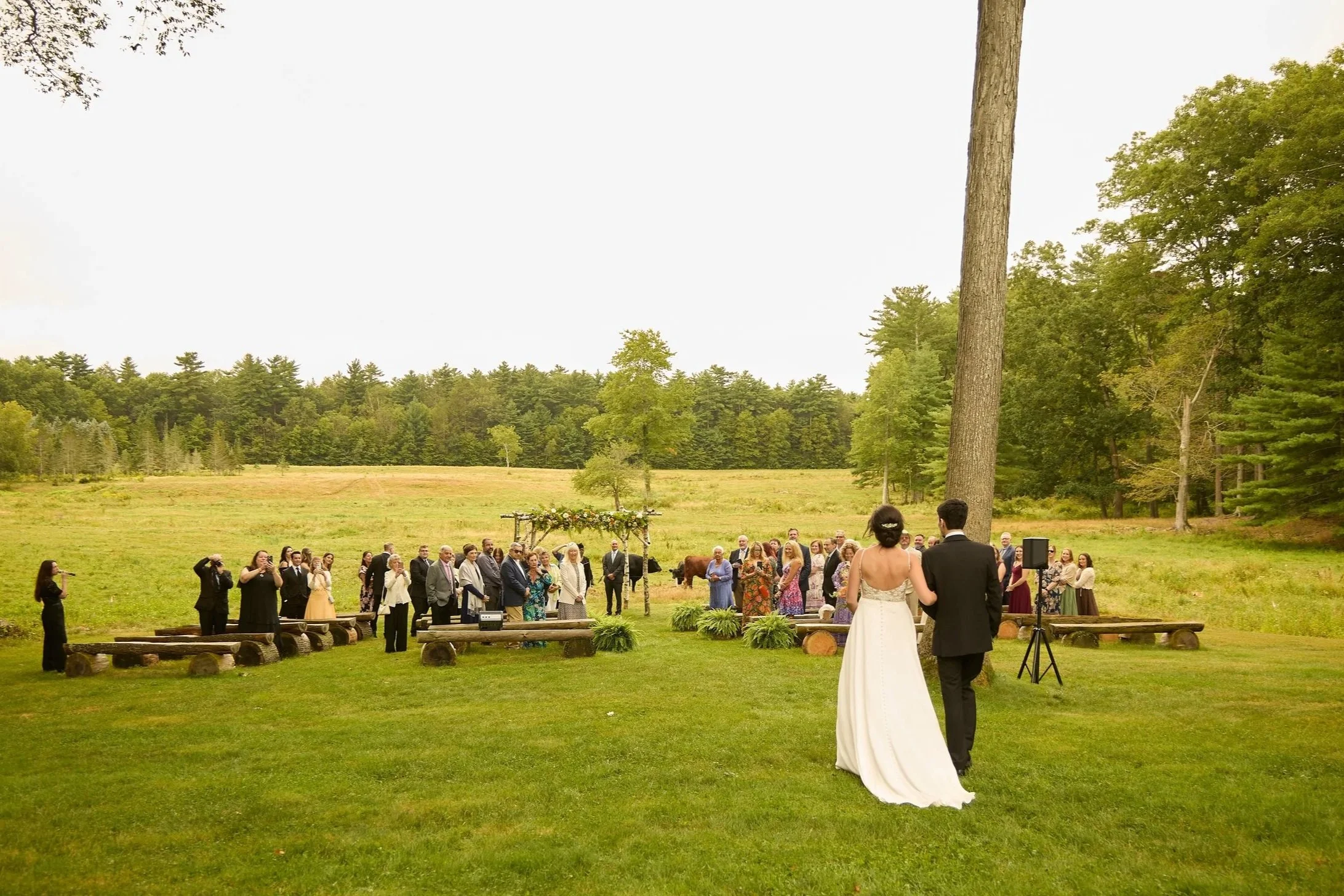 A wedding ceremony taking place outdoors in a lush green field, with a bride and groom standing in front of a group of guests gathered under a large tree, surrounded by natural scenery.