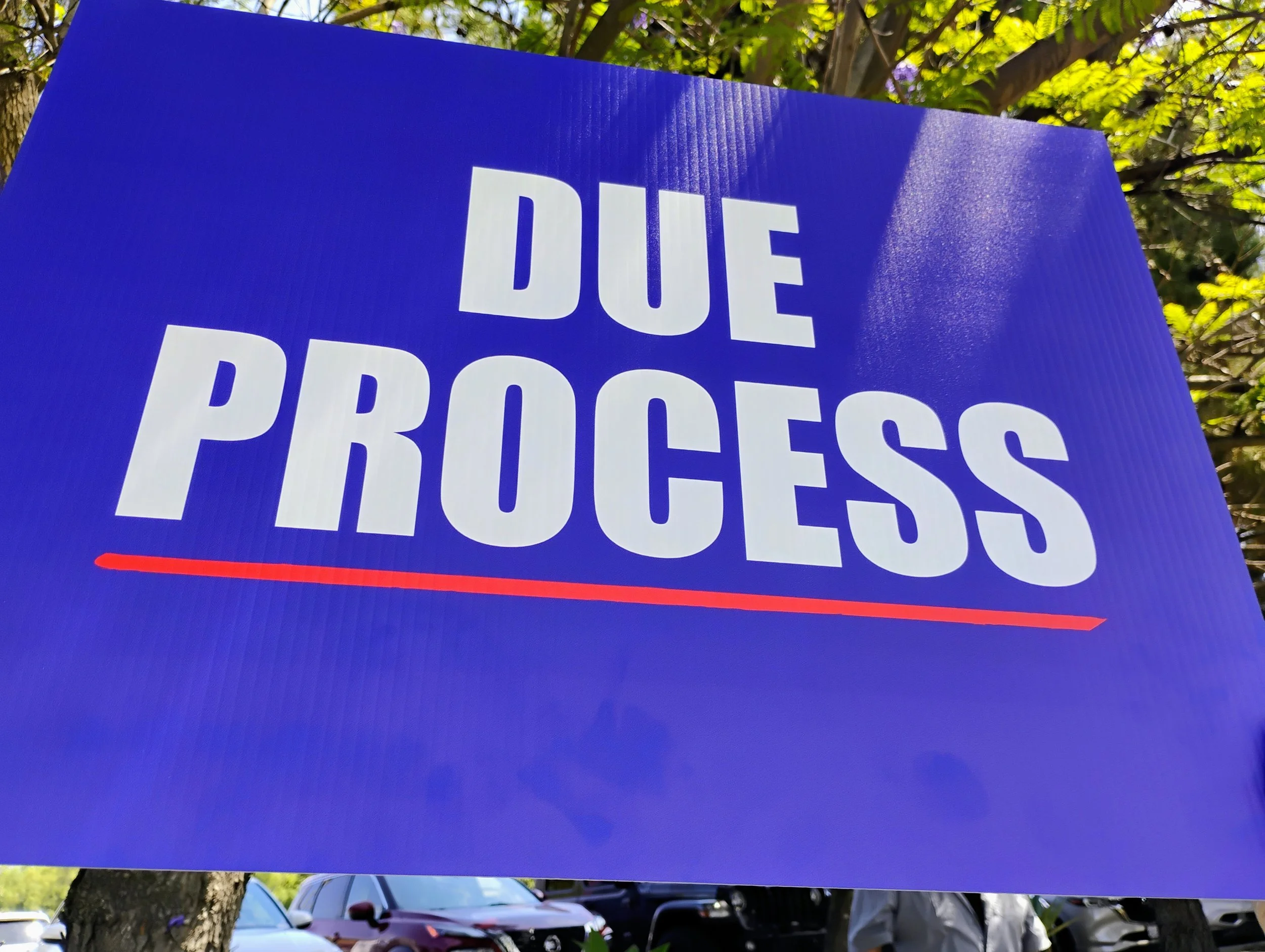 A blue protest sign with white text, partially visible, that reads 'DUE PROCESS,' hanging from a tree branch, with trees and parked cars in the background.
