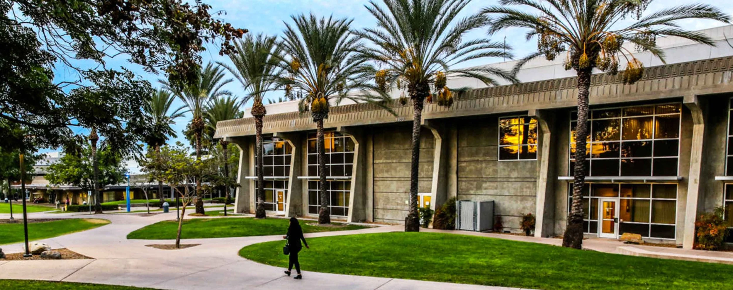 A modern concrete building with large glass windows, surrounded by palm trees and a grassy park area, with a person walking on a paved path in the foreground, during sunset or sunrise.