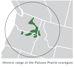 palouse prairie.png