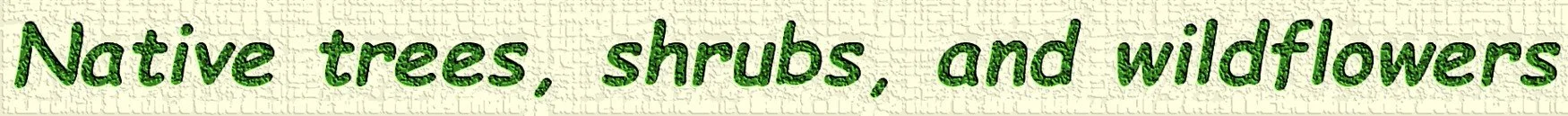 Text reading "Native trees, shrubs, and wildflowers" on a textured background.