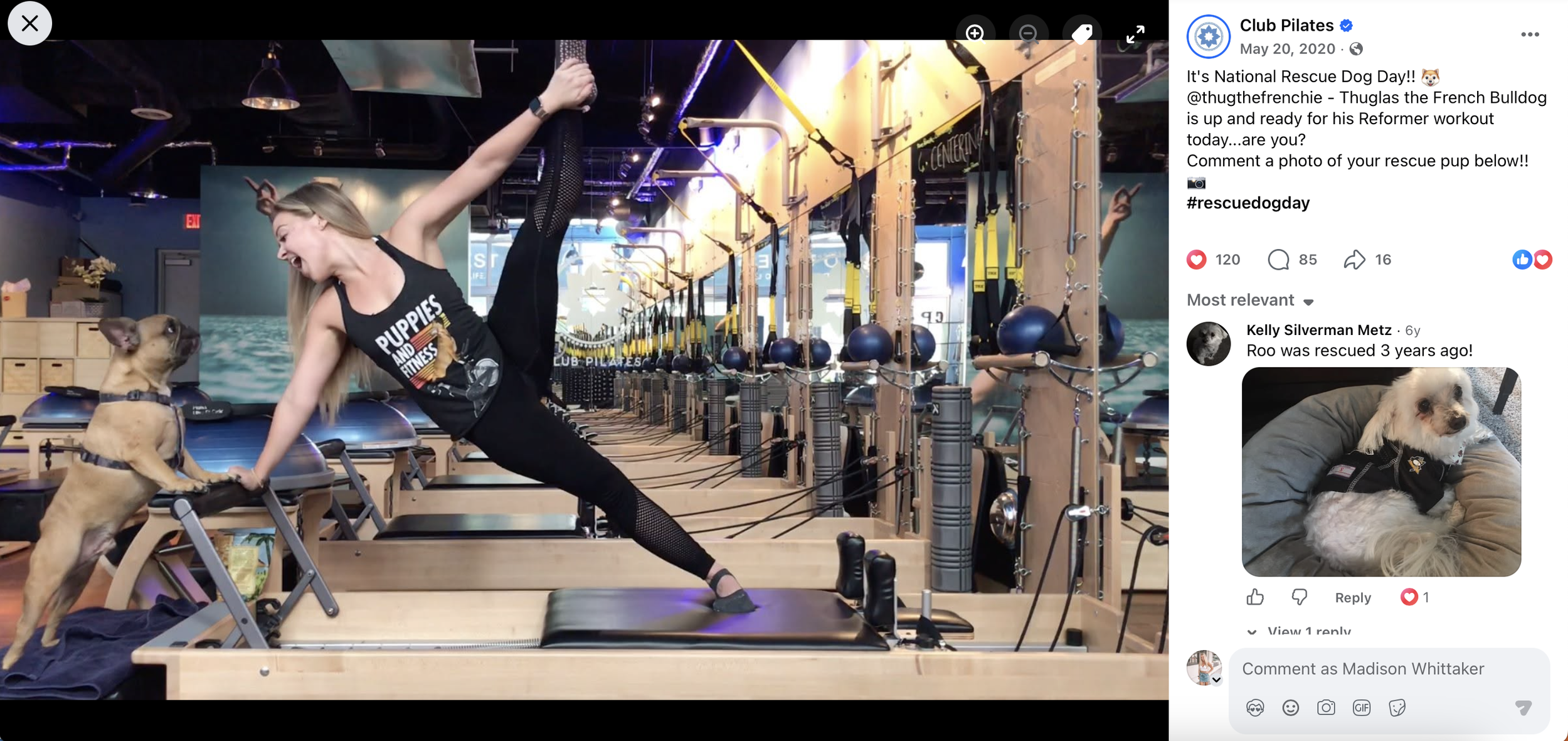 Woman performing a yoga pose with her dog at a fitness studio, with specialized Pilates equipment in the background.