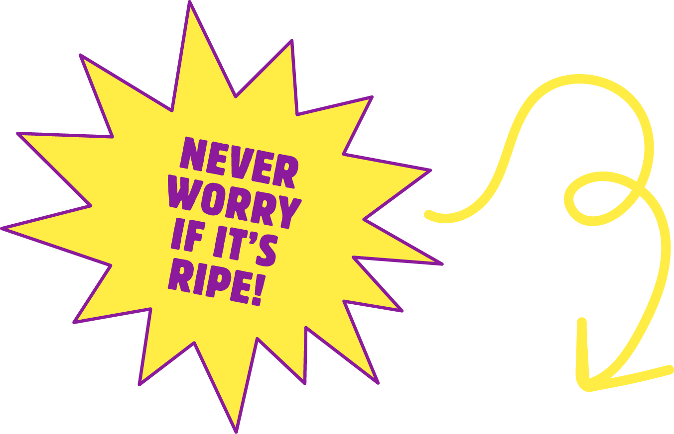 Bright yellow starburst with purple outline containing the text "Never worry if it's ripe!" in purple, with yellow swirly arrow pointing to the right.