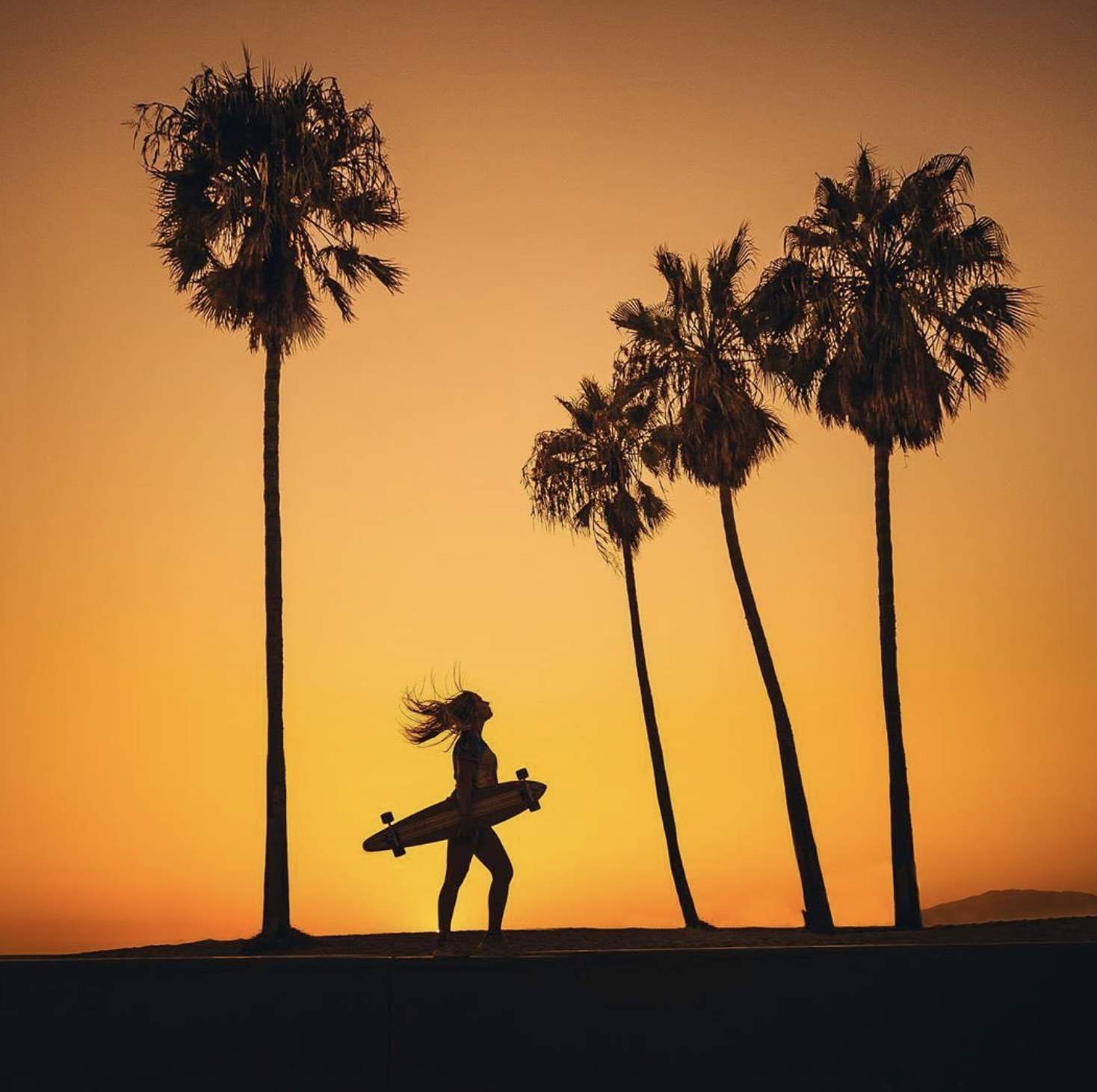 venicebeach1975hotelhostel2.png