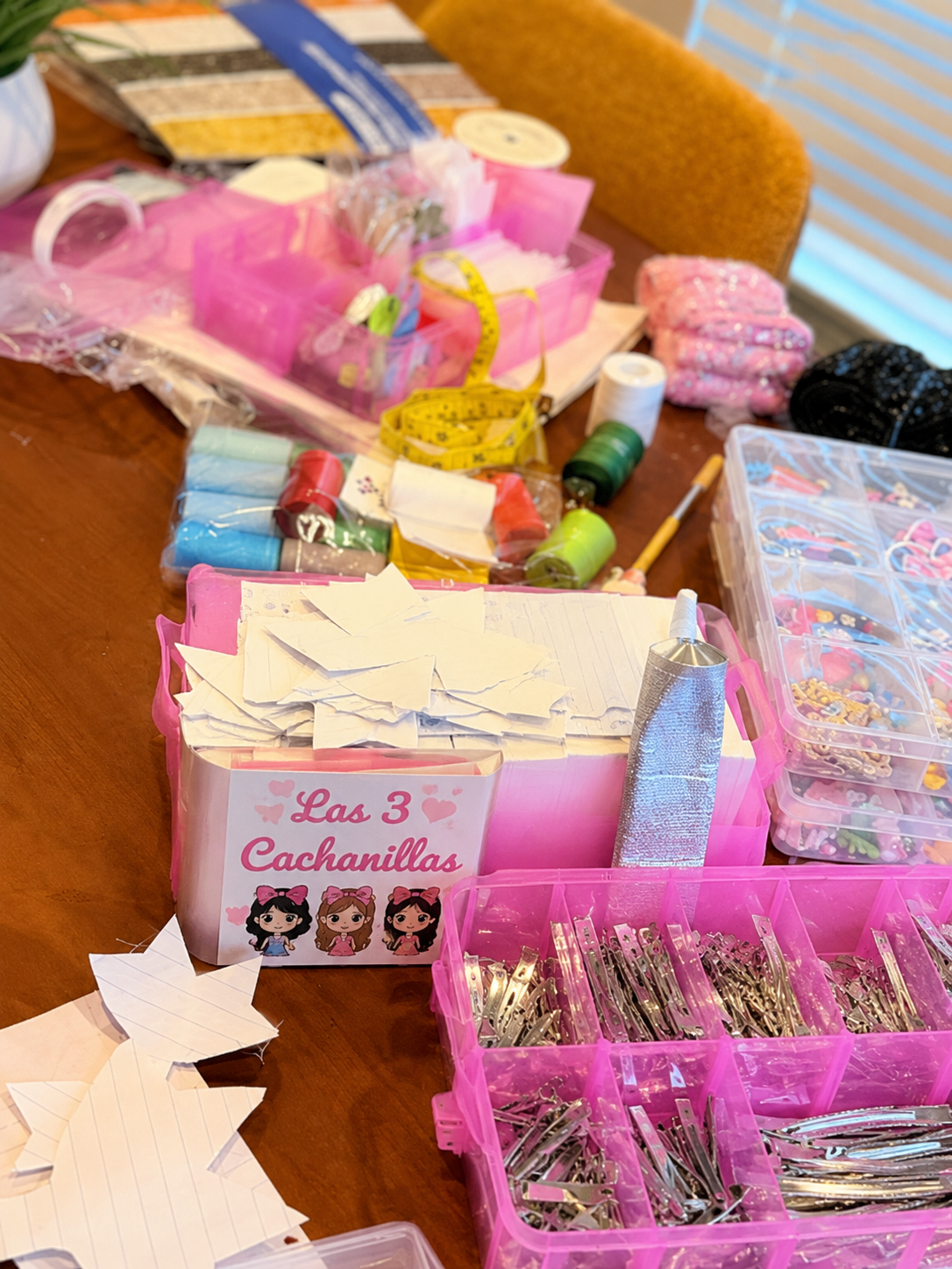 D4339C95-C6D2-47F8-90FF-A0CB6BC078A1.png