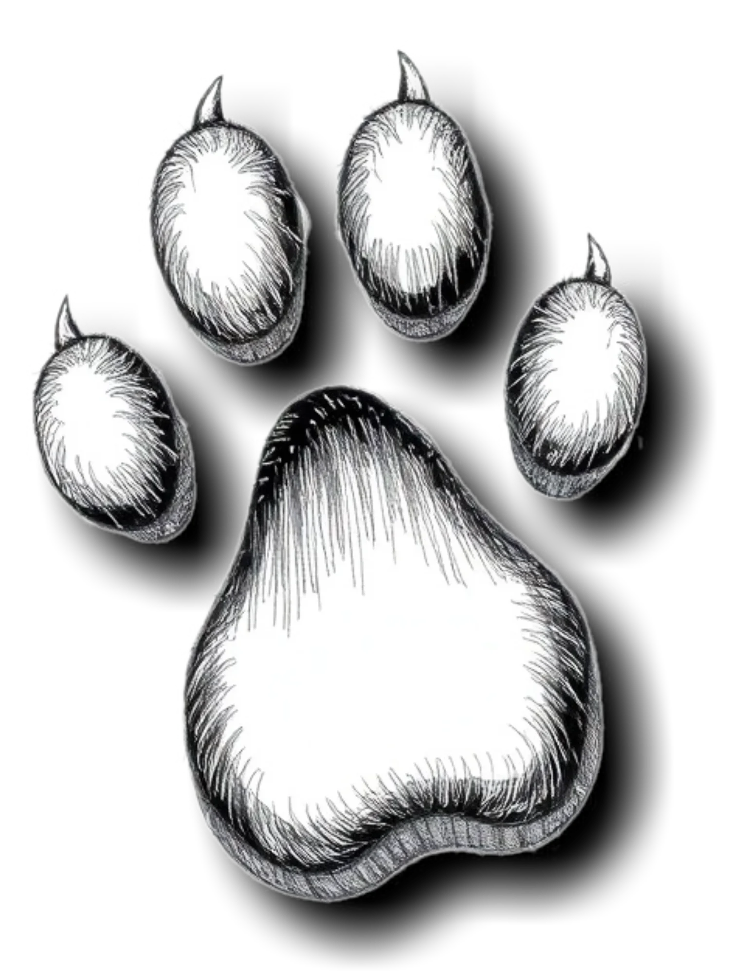 Bark