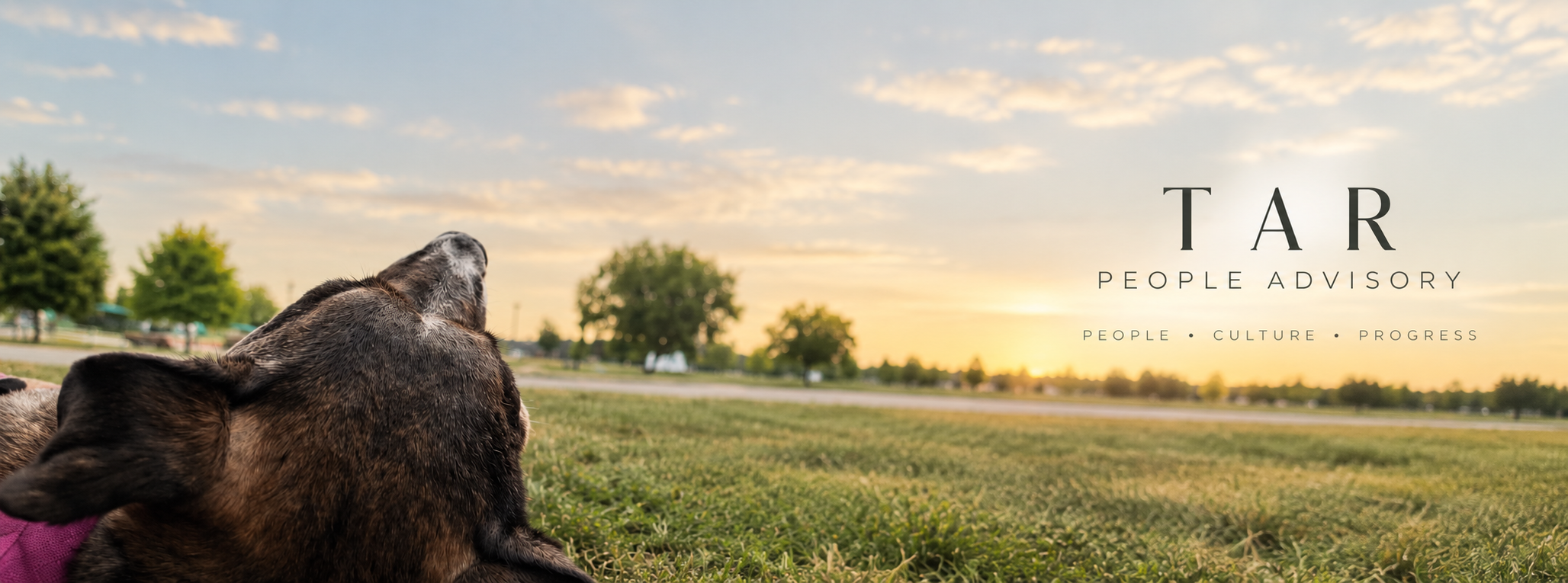 Dog lying on grass at sunset with trees in the background, featuring the text 'TAR People Advisory People • Culture • Progress'.