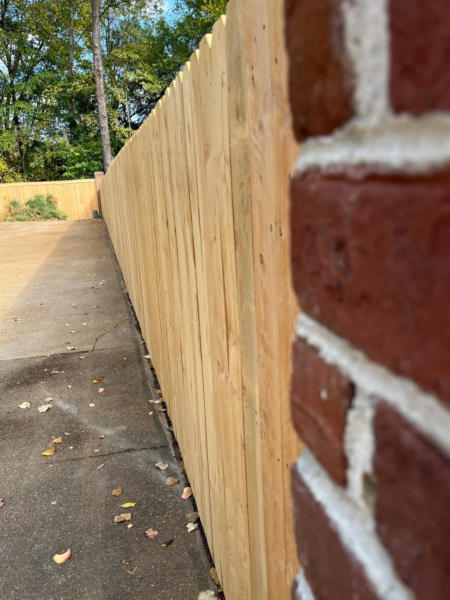 Cedar privacy fence, Memphis, TN