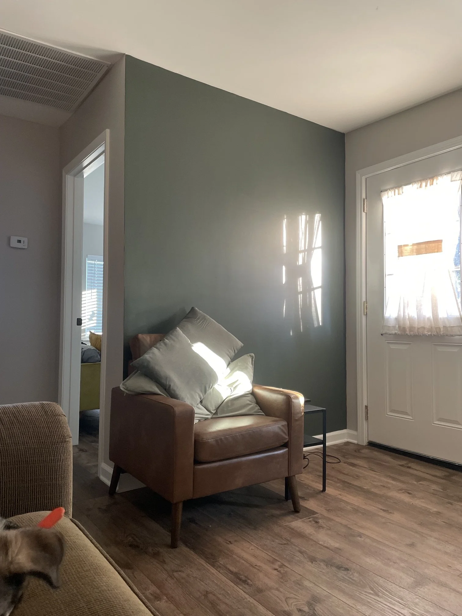 Painted accent wall, Memphis, TN