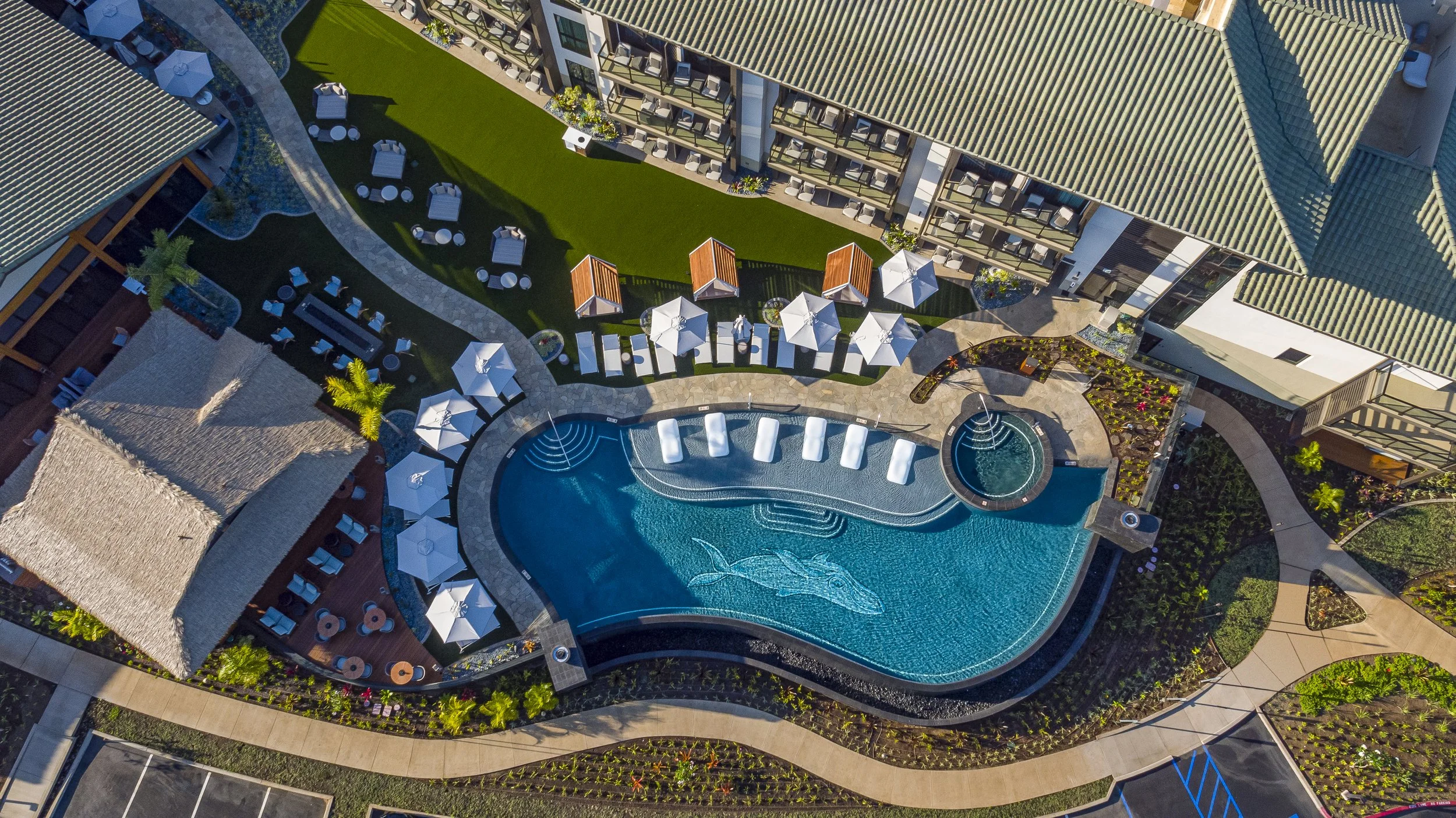 Aerial View.jpg