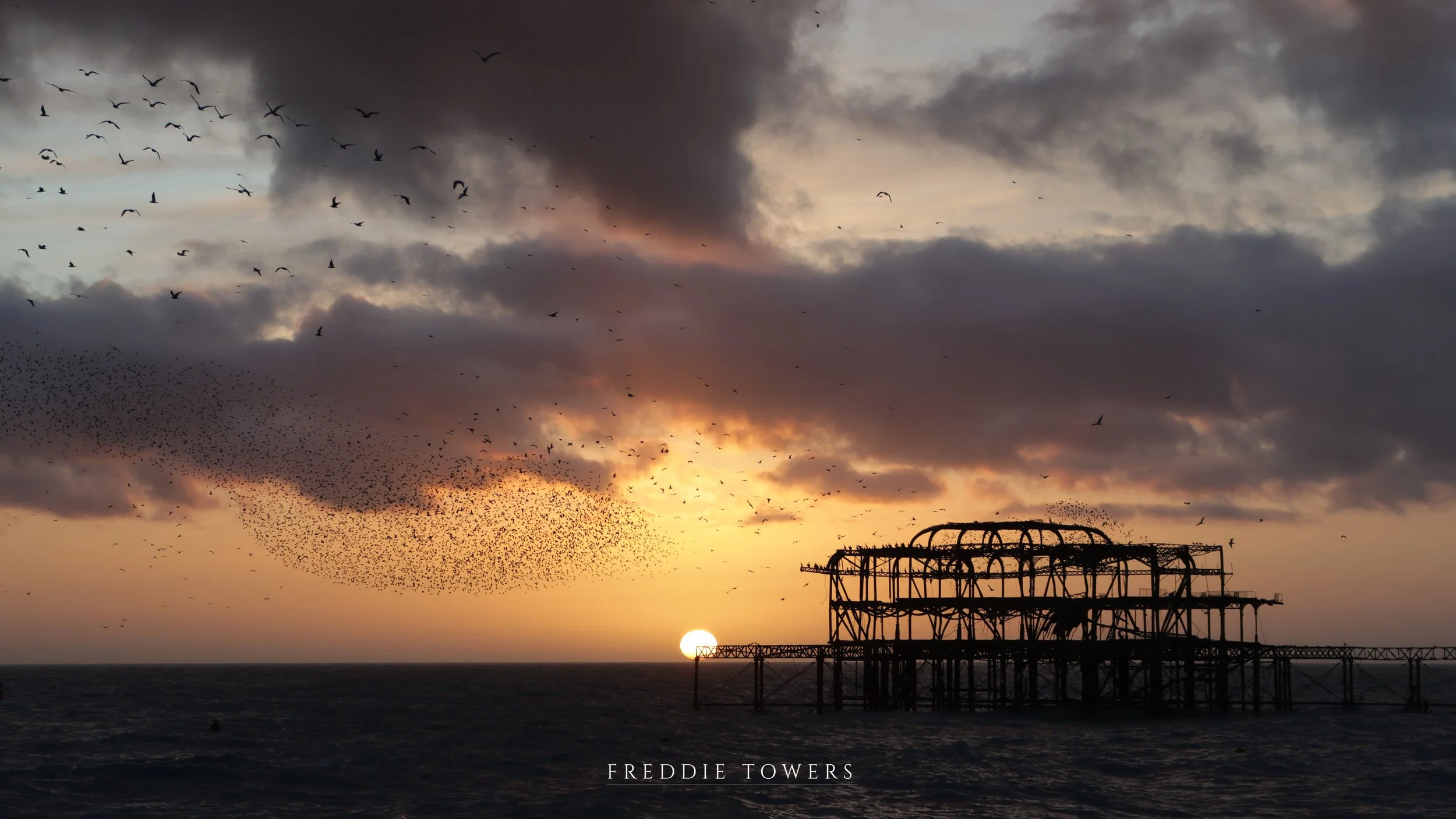 Starling Murmuration print