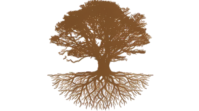 A stylized tree with a large canopy and complex root system, depicted in brown.