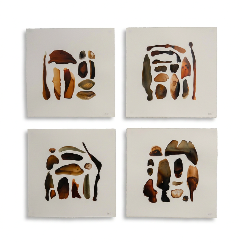 Field Guides 1, 2, 3 & 4