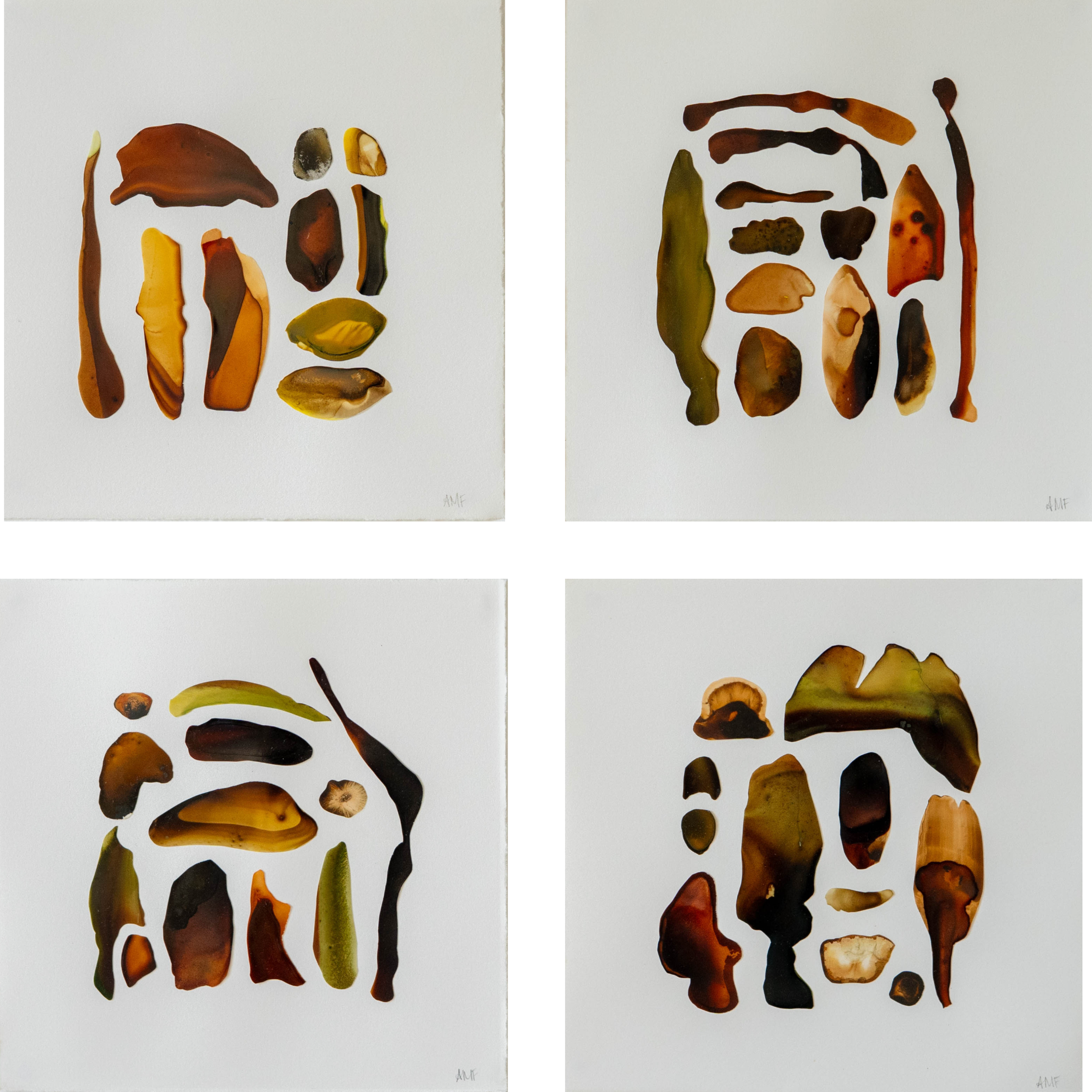 Field Guides, 1, 2, 3 & 4,
Mixed media on paper,
8 x 8 in each,
2025