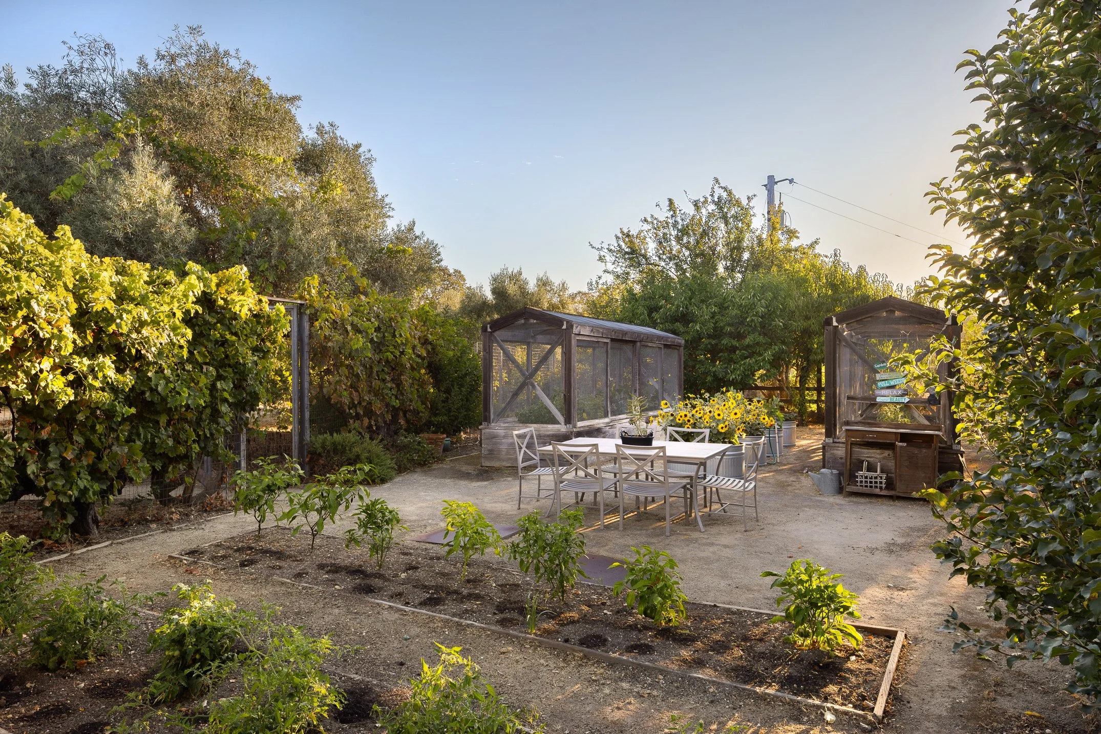 A backyard garden scene with lush green trees, a white table with chairs, a garden greenhouse, flower pots, and a sunflower bouquet, with the sun shining brightly in a clear sky.