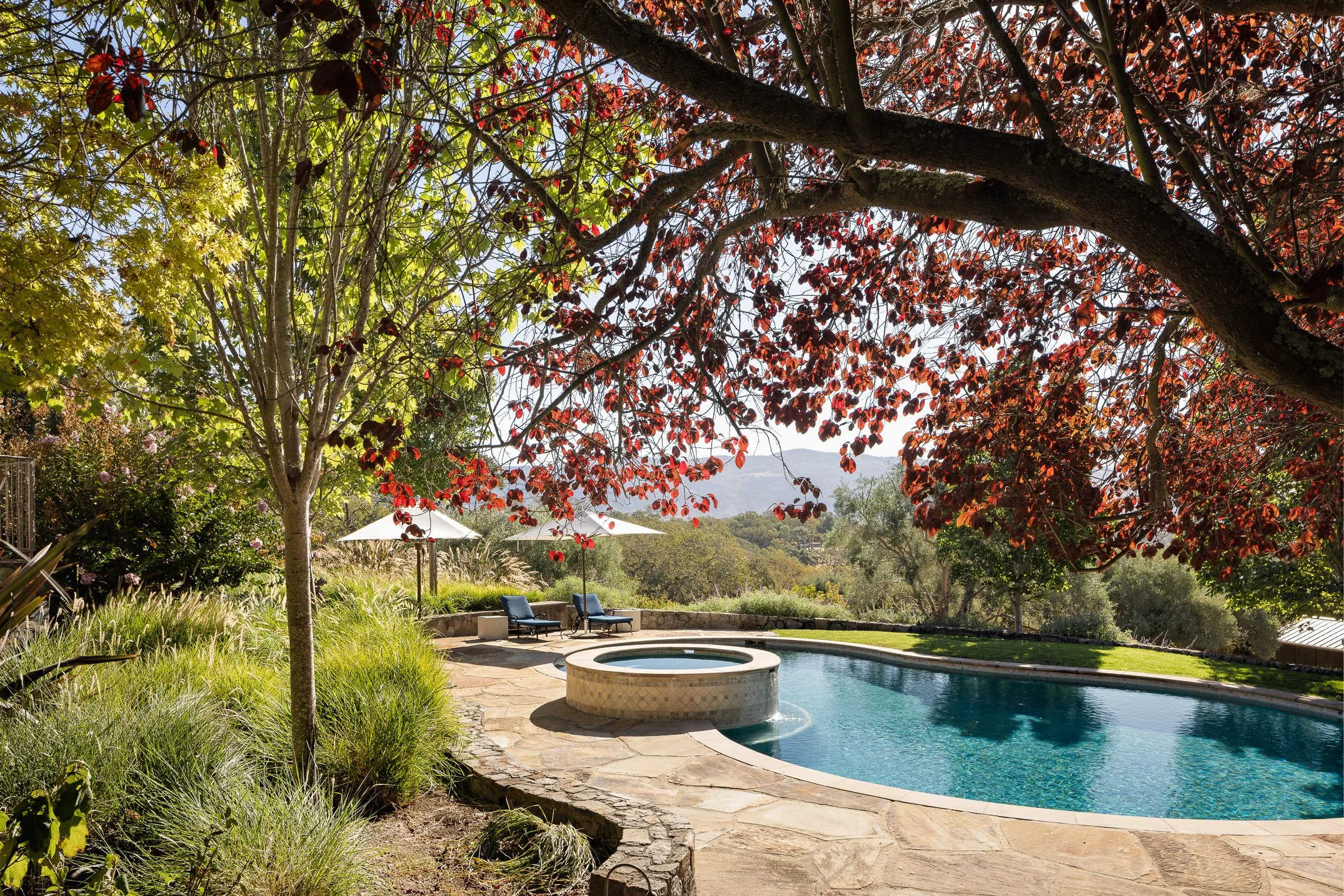 A backyard scene with a swimming pool, patio chairs with umbrellas, and trees with green and red leaves, with Mt. George in the background.