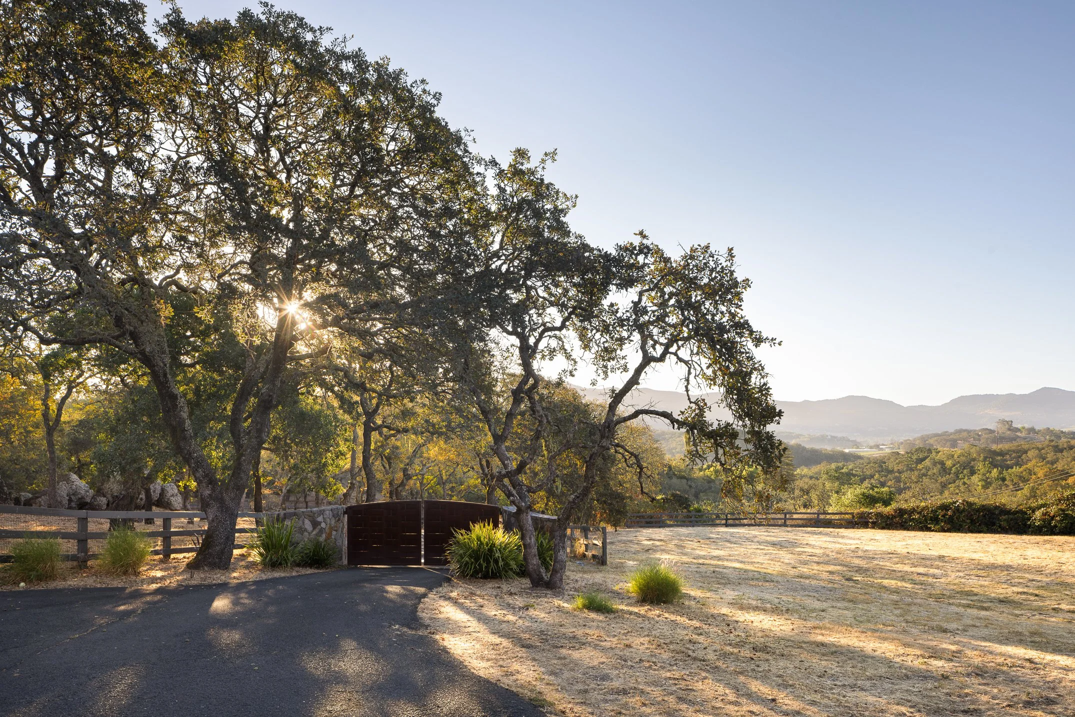 Sunlight filters through the branches of leafy trees near a wooden gate, with hills in the distance and a clear blue sky overhead.