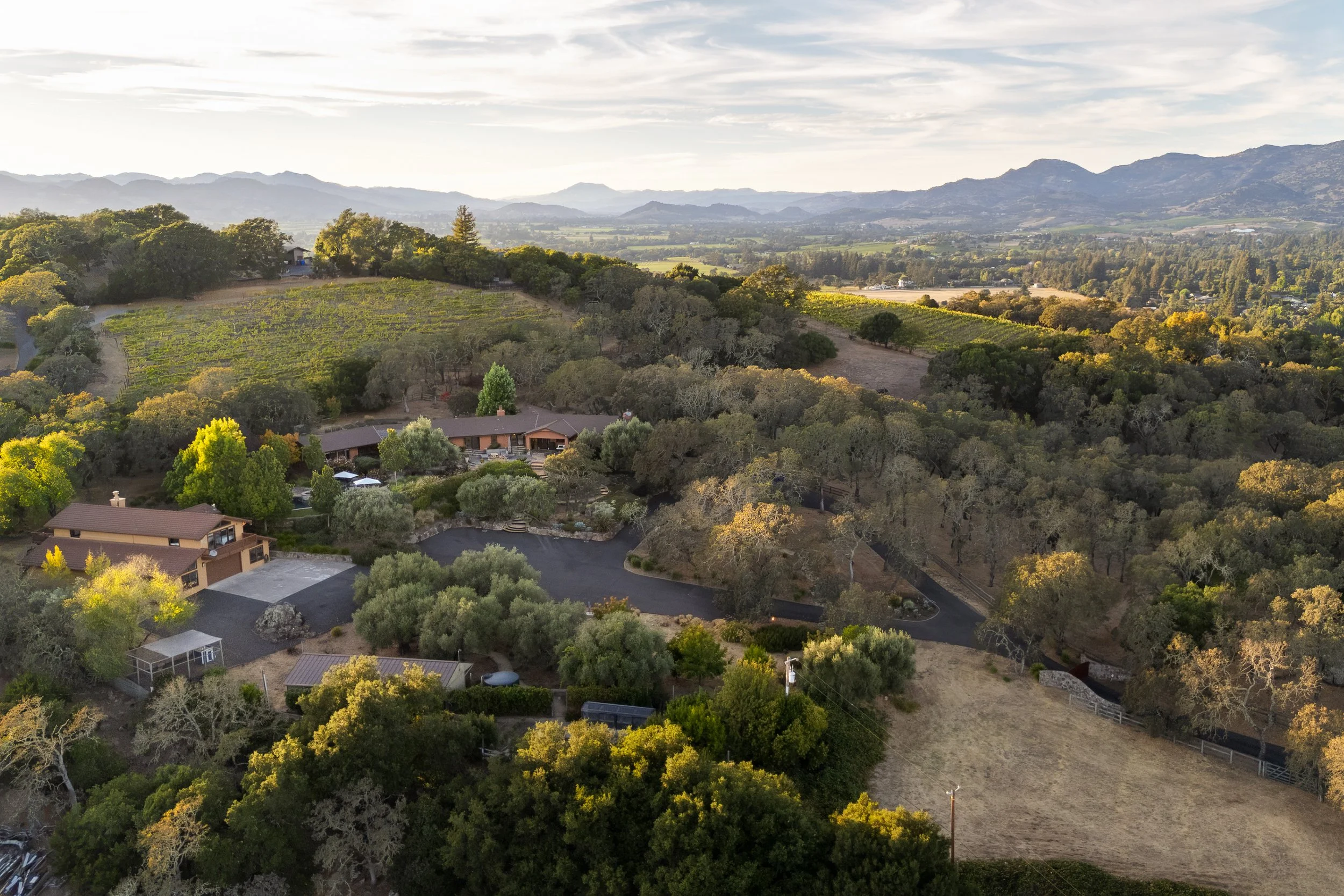 Aerial view of Napa Valley/Coombsville with houses, trees, vineyards, mountains, and a cloudy sky.