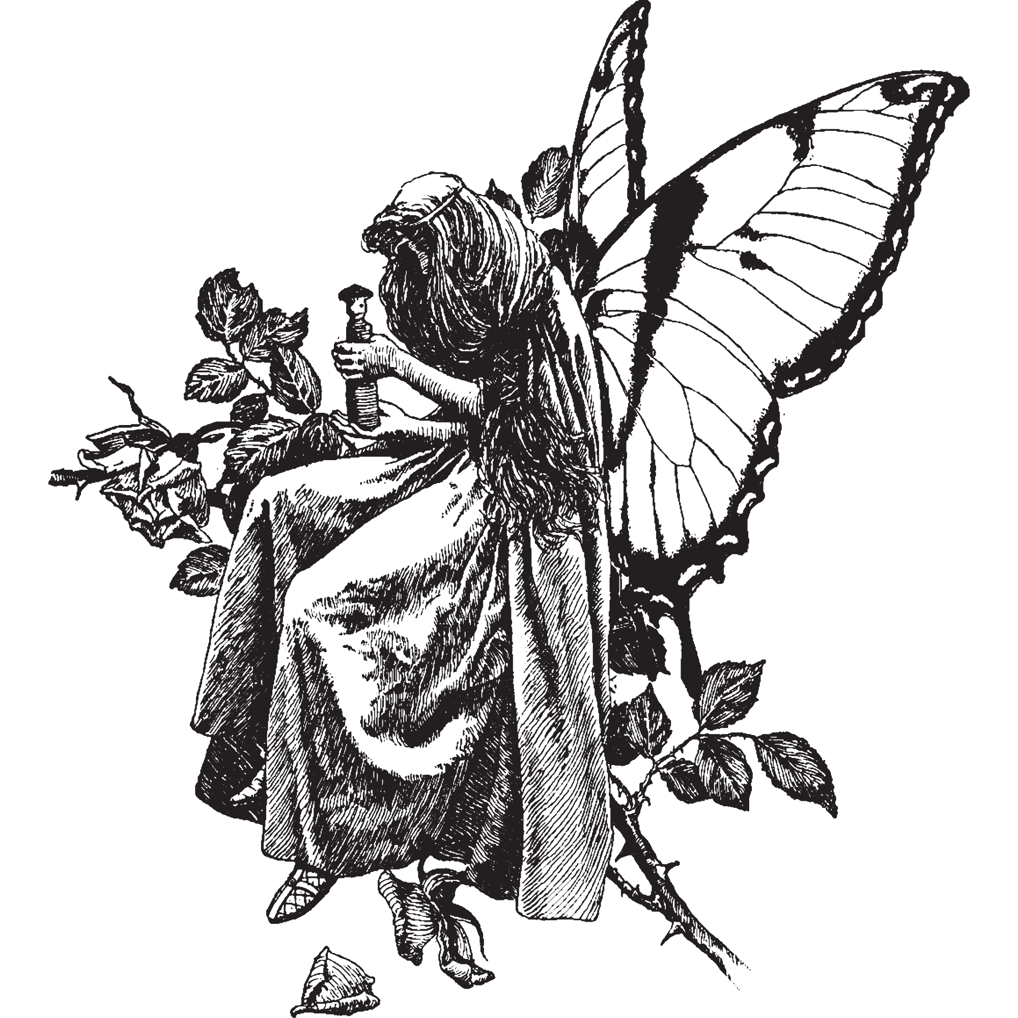 A detailed monochrome illustration of a dragonfly with intricate wings, perched on a plant stem, with leaves and small flowers around it.