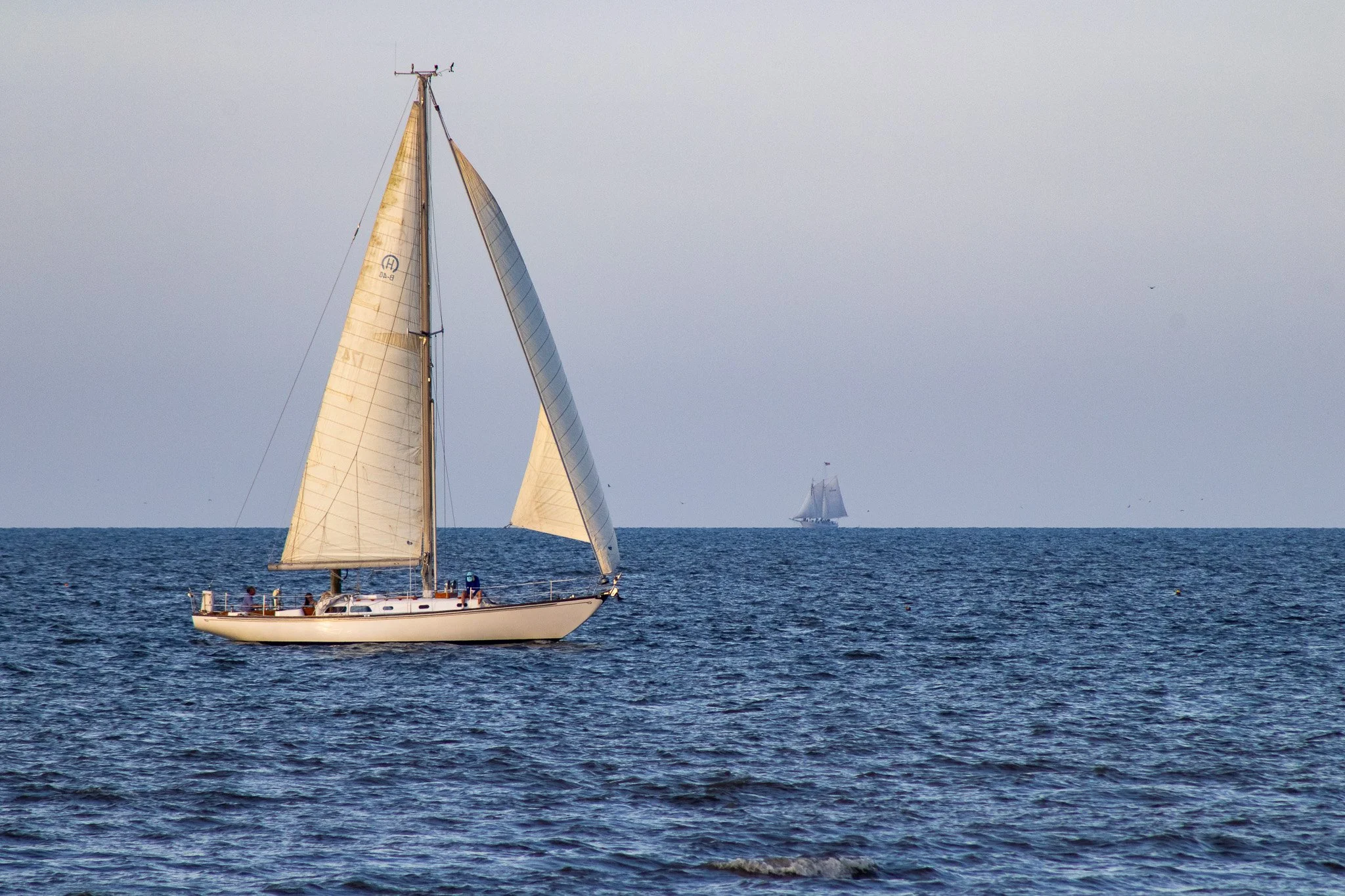 Shared Horizon