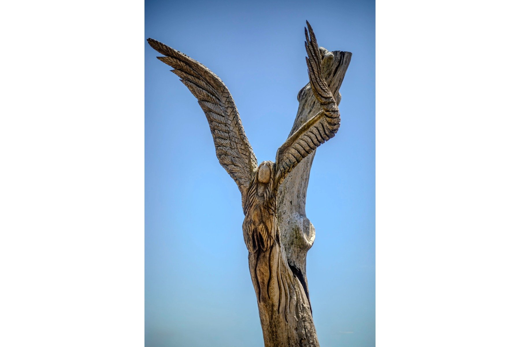 Angel Tree