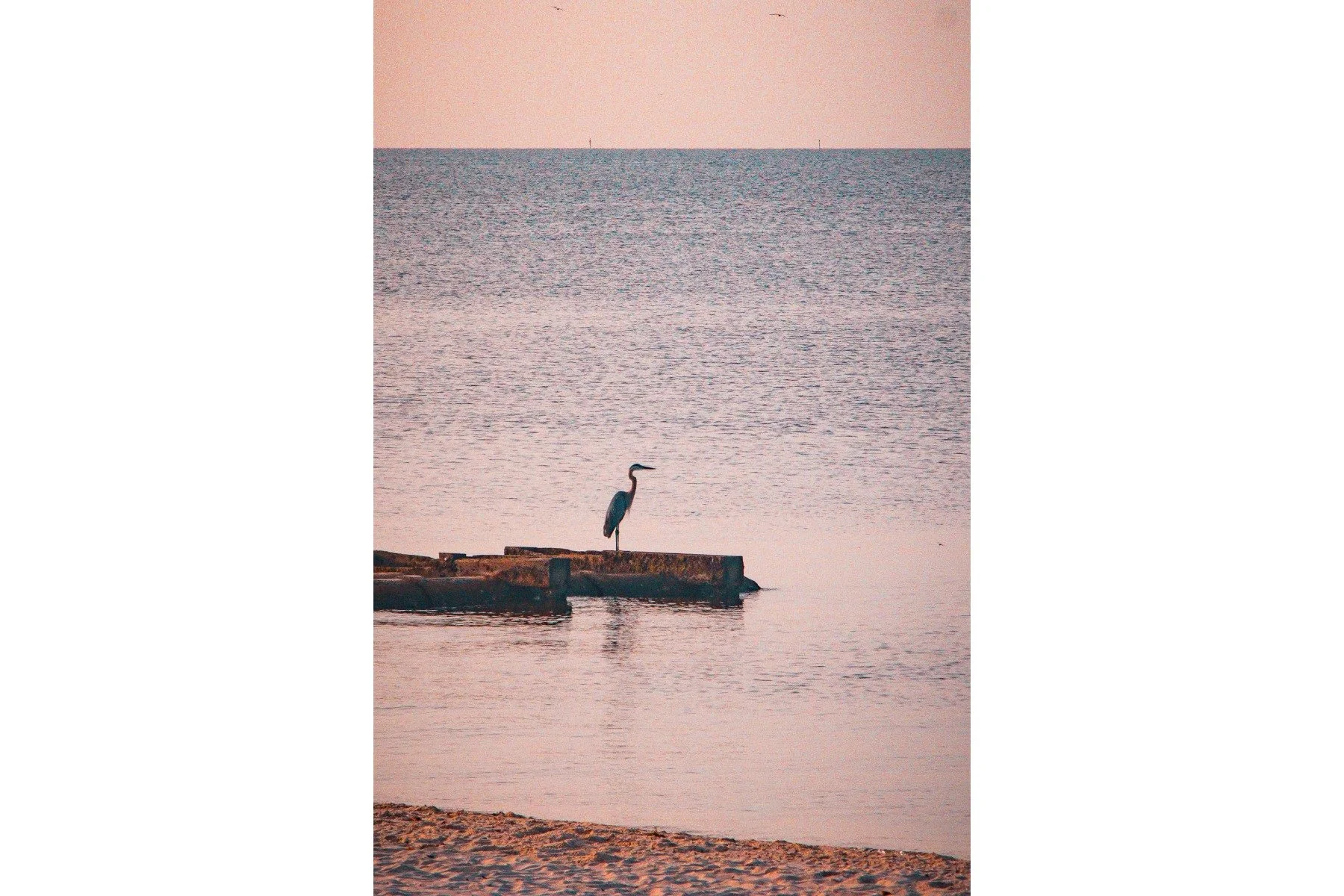 Morning Vigil