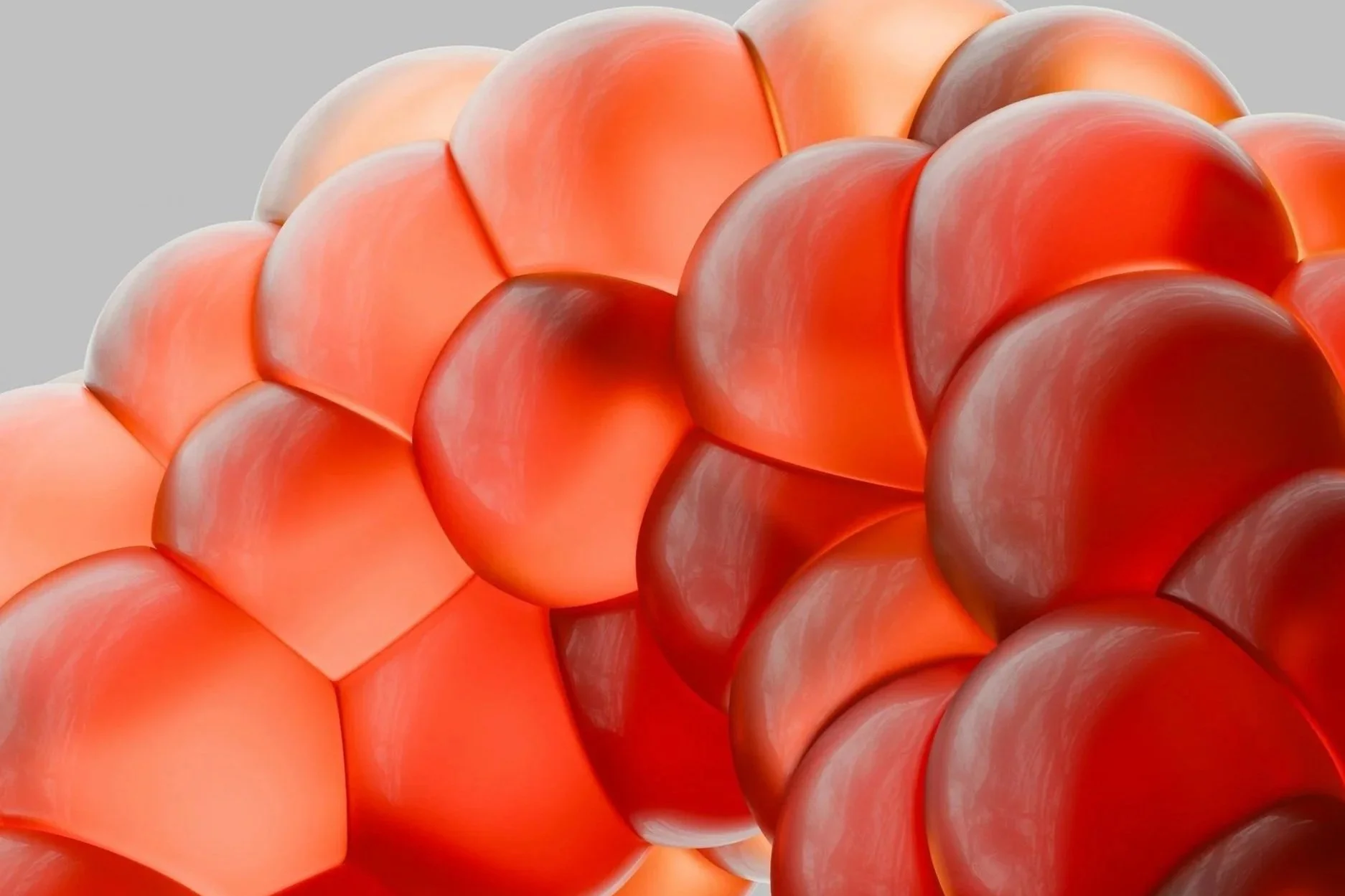 Cholesterol And Inflammation