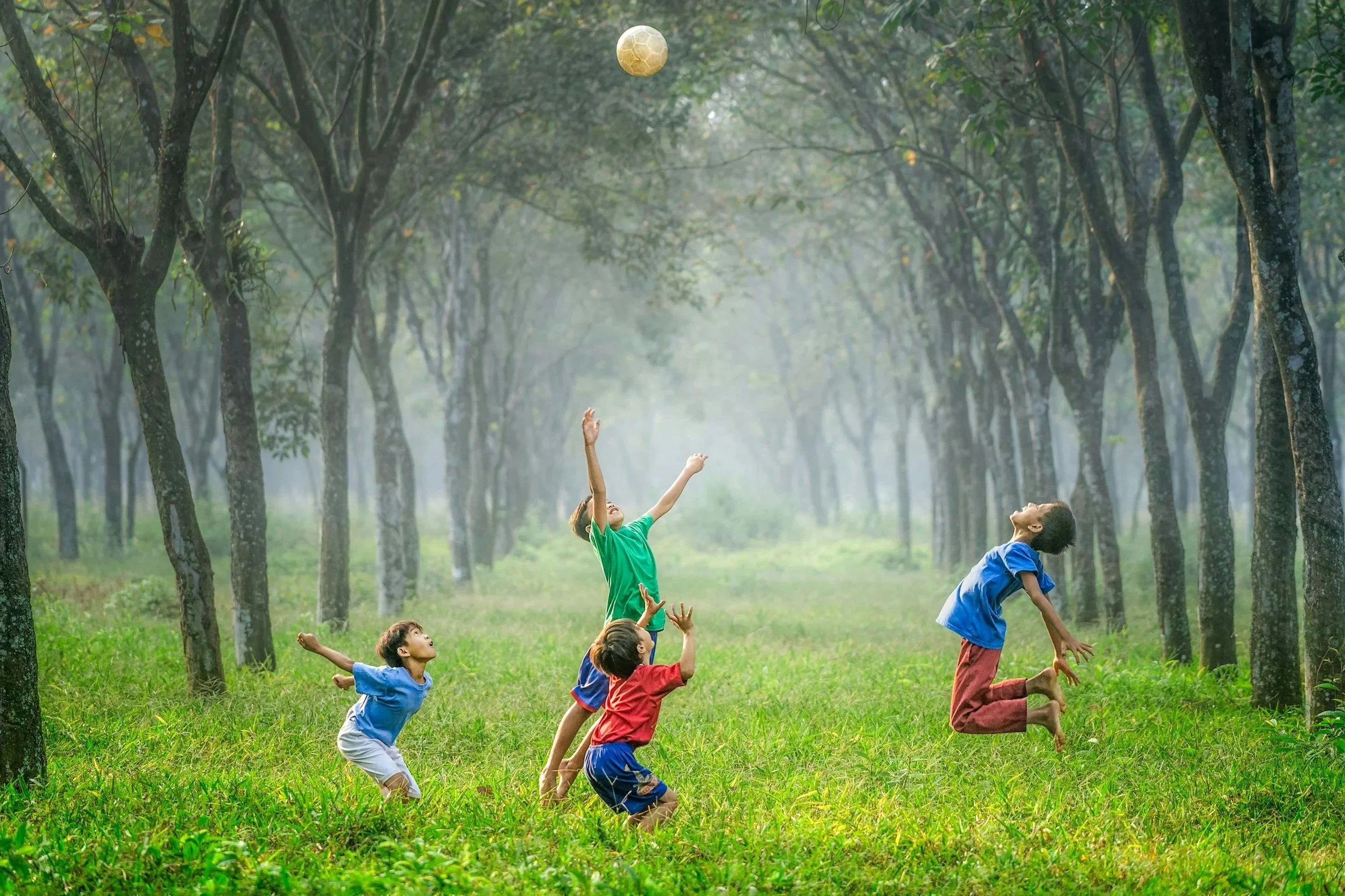 Our Inner Ecosystem Of The Body