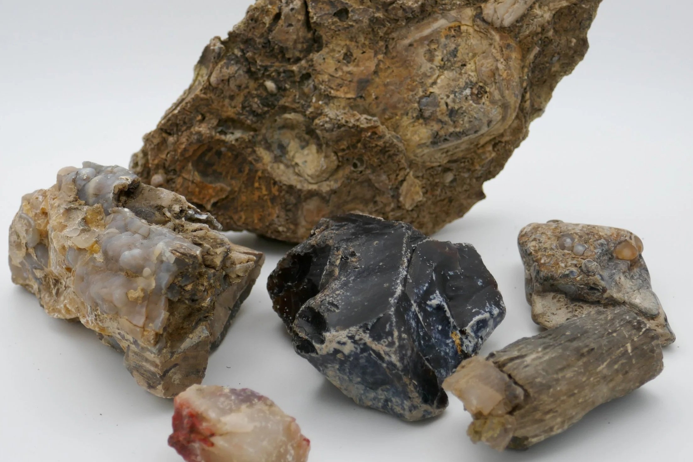 Various rocks and minerals, including a black obsidian piece, a white and gray conglomerate, and a brownish rock, arranged on a white surface.