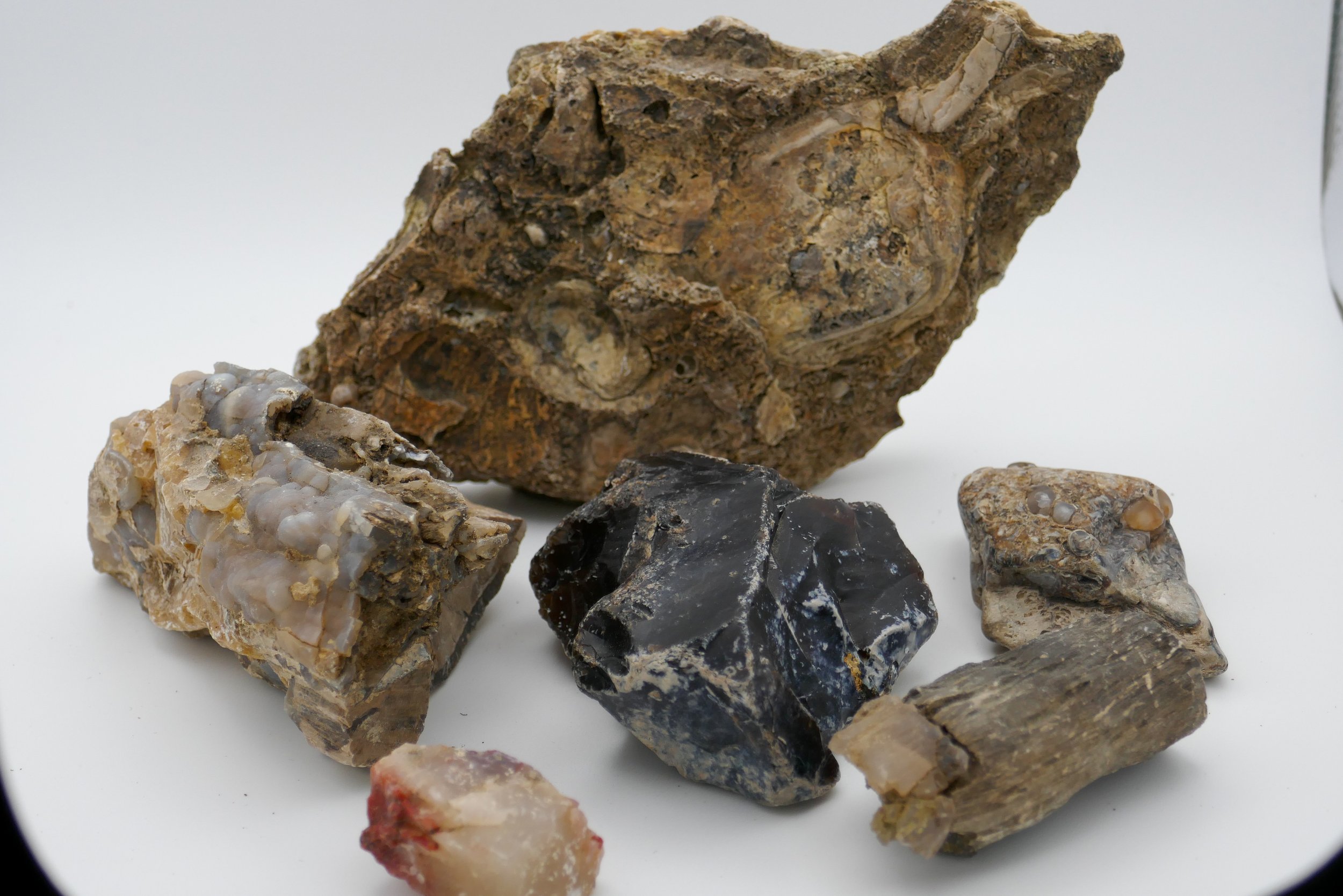 Wyoming Collection