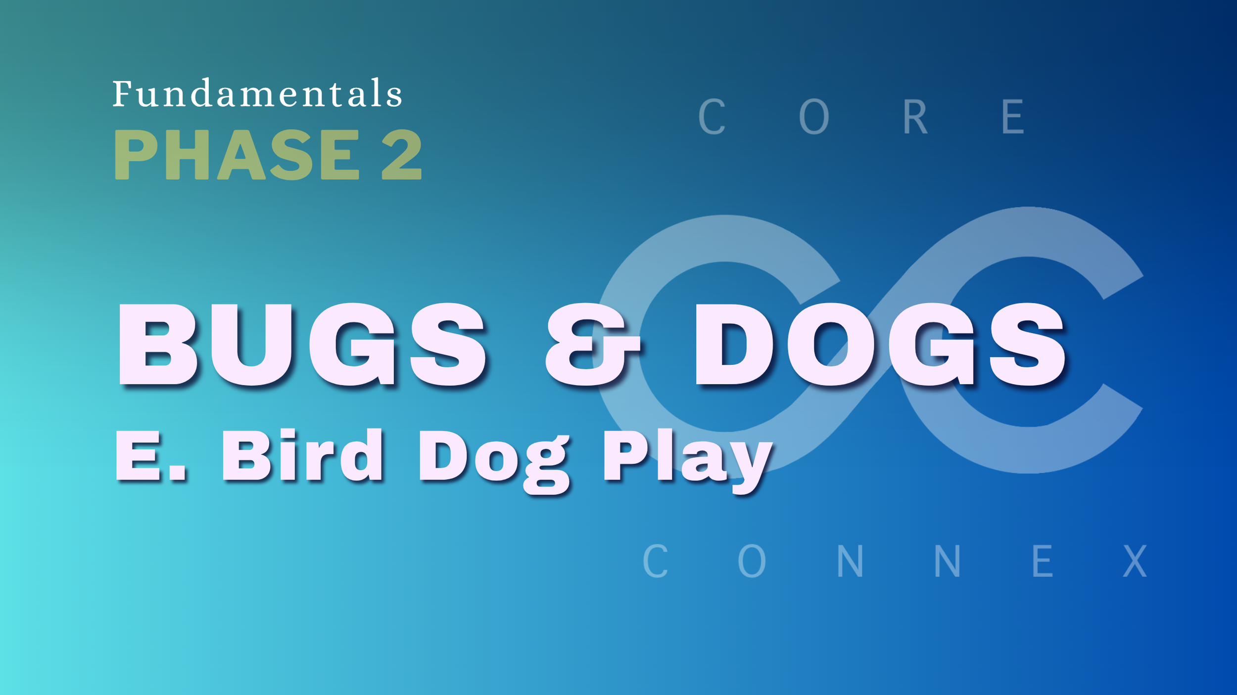 E. Bird Dog Play - CC Fundamentals | 14 min