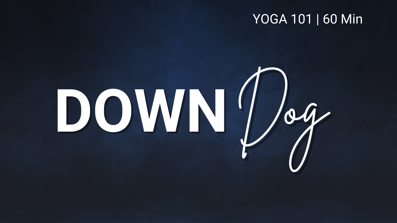 Down Dog - Yoga 101 | 50 min
